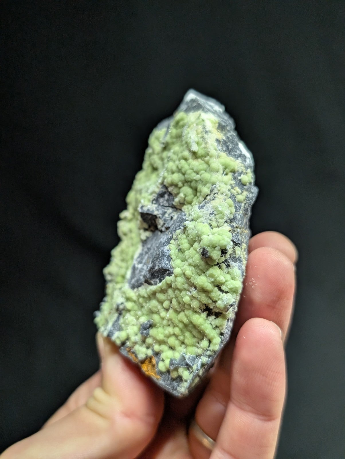A hand holds a dark gray rock specimen featuring vibrant, light green crystalline formations.