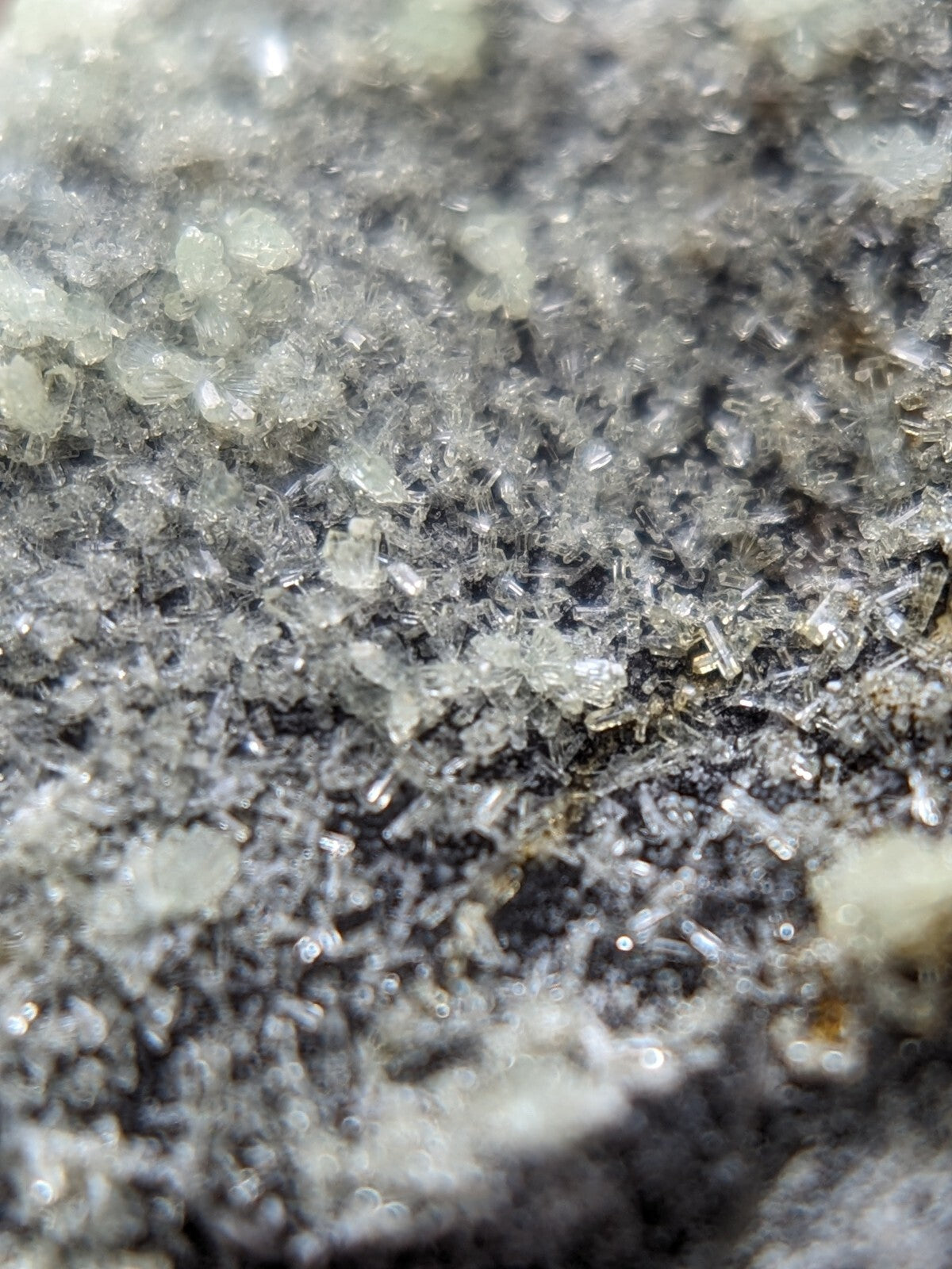 A close-up view of translucent, crystalline mineral formations embedded in a dark gray rock matrix.