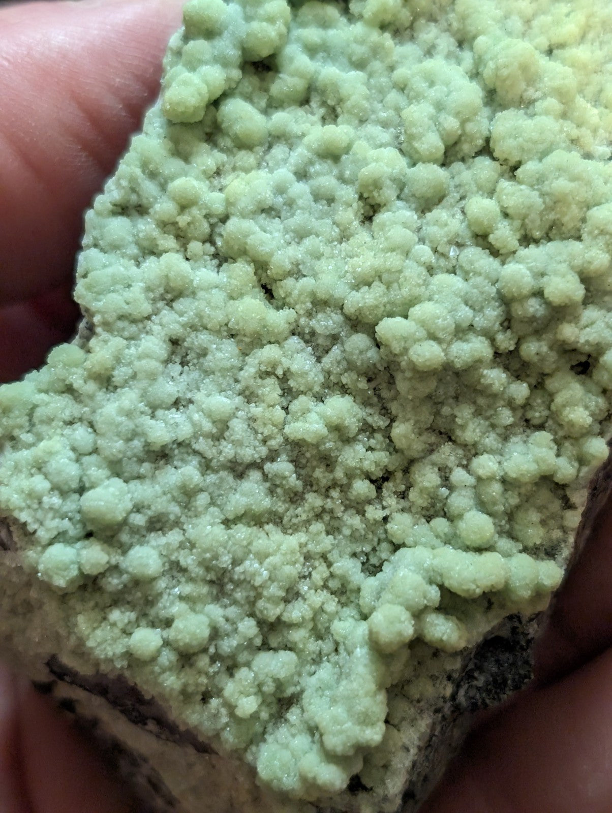 A pale green, crystalline mineral specimen with a textured surface of rounded, clustered formations.