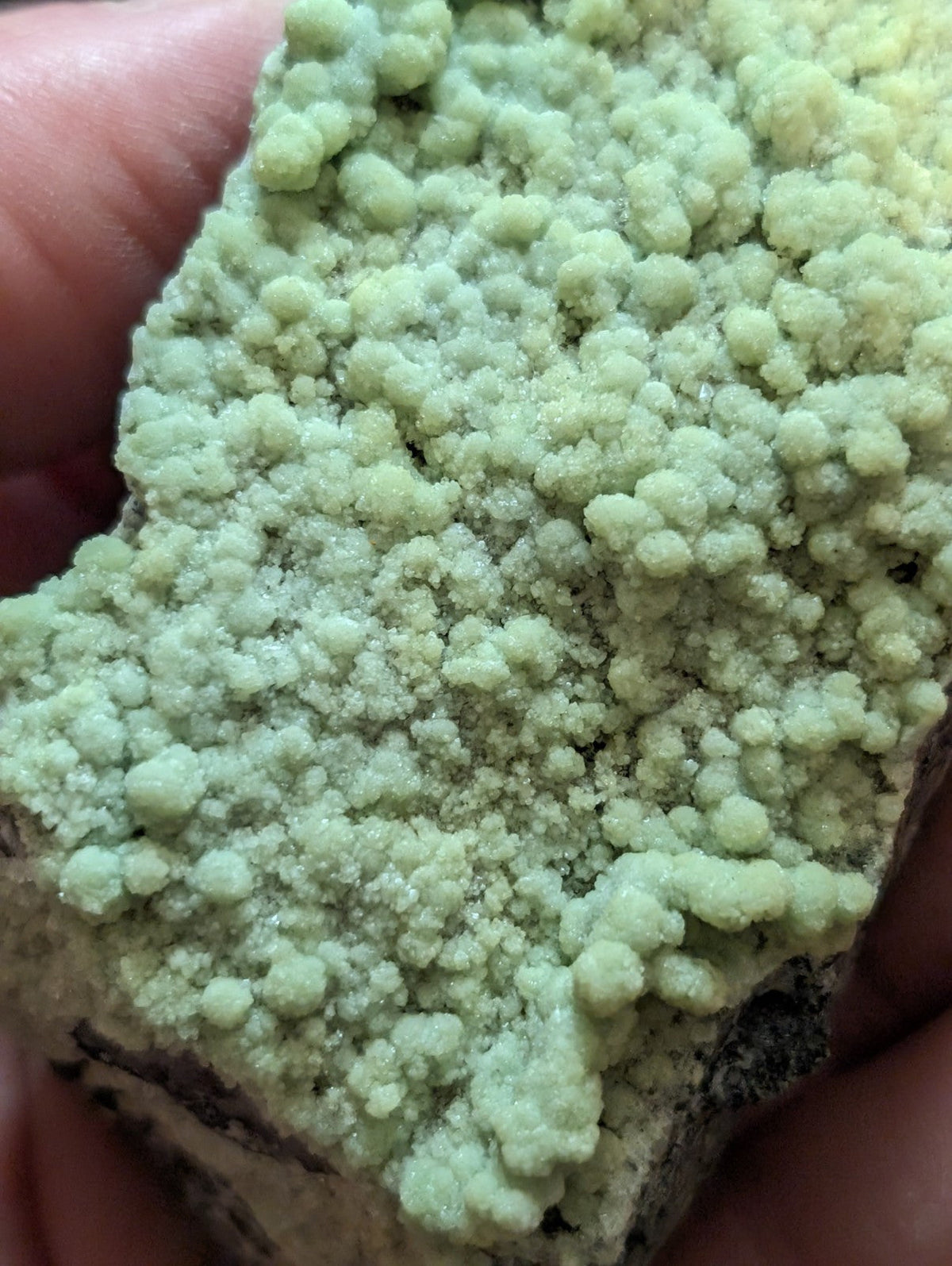A pale green, crystalline mineral specimen with a textured surface of rounded, clustered formations.