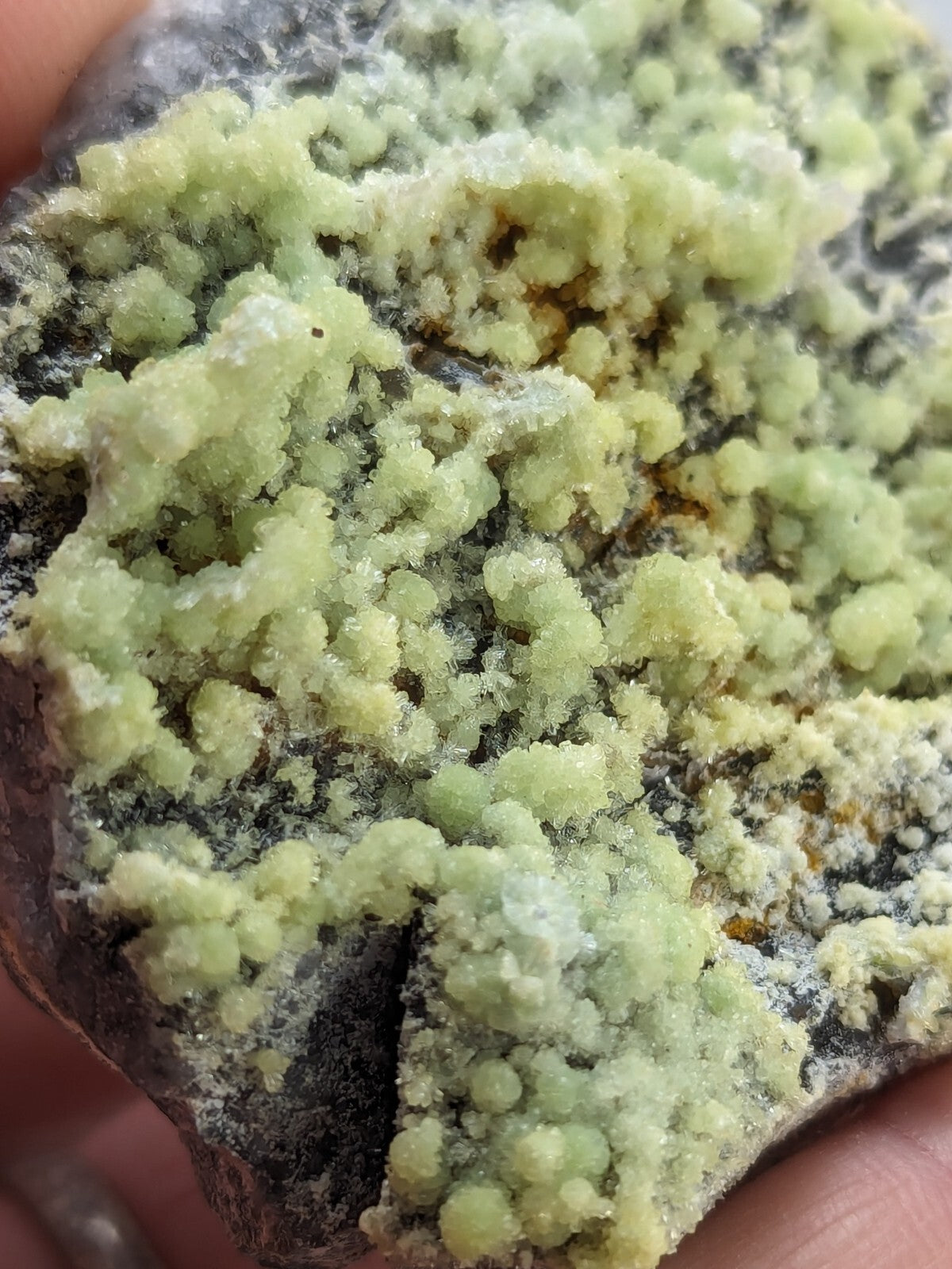 A cluster of pale green, crystalline minerals growing densely over a dark rock base.