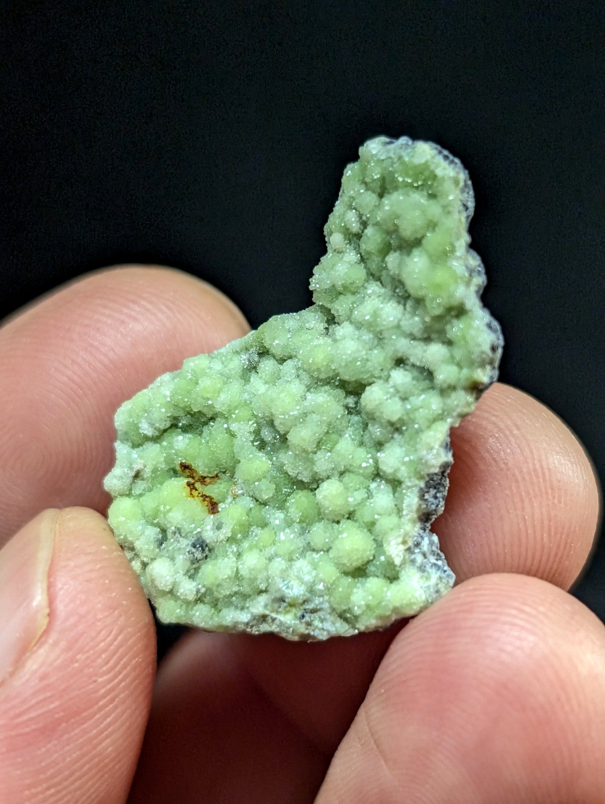 A light green, textured mineral specimen with a crystalline surface and small rounded growths.