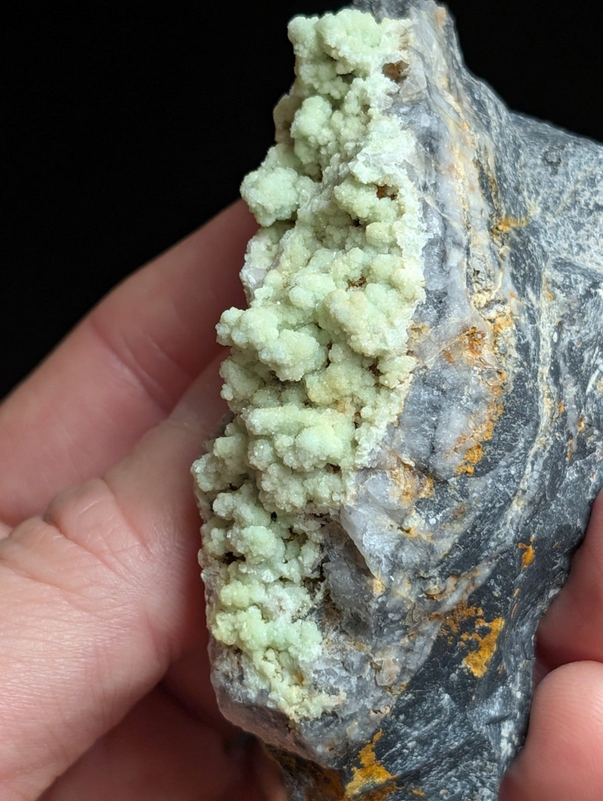 A hand holds a geological specimen featuring light green, clustered mineral formations growing from a dark gray rock base with patches of orange discoloration.