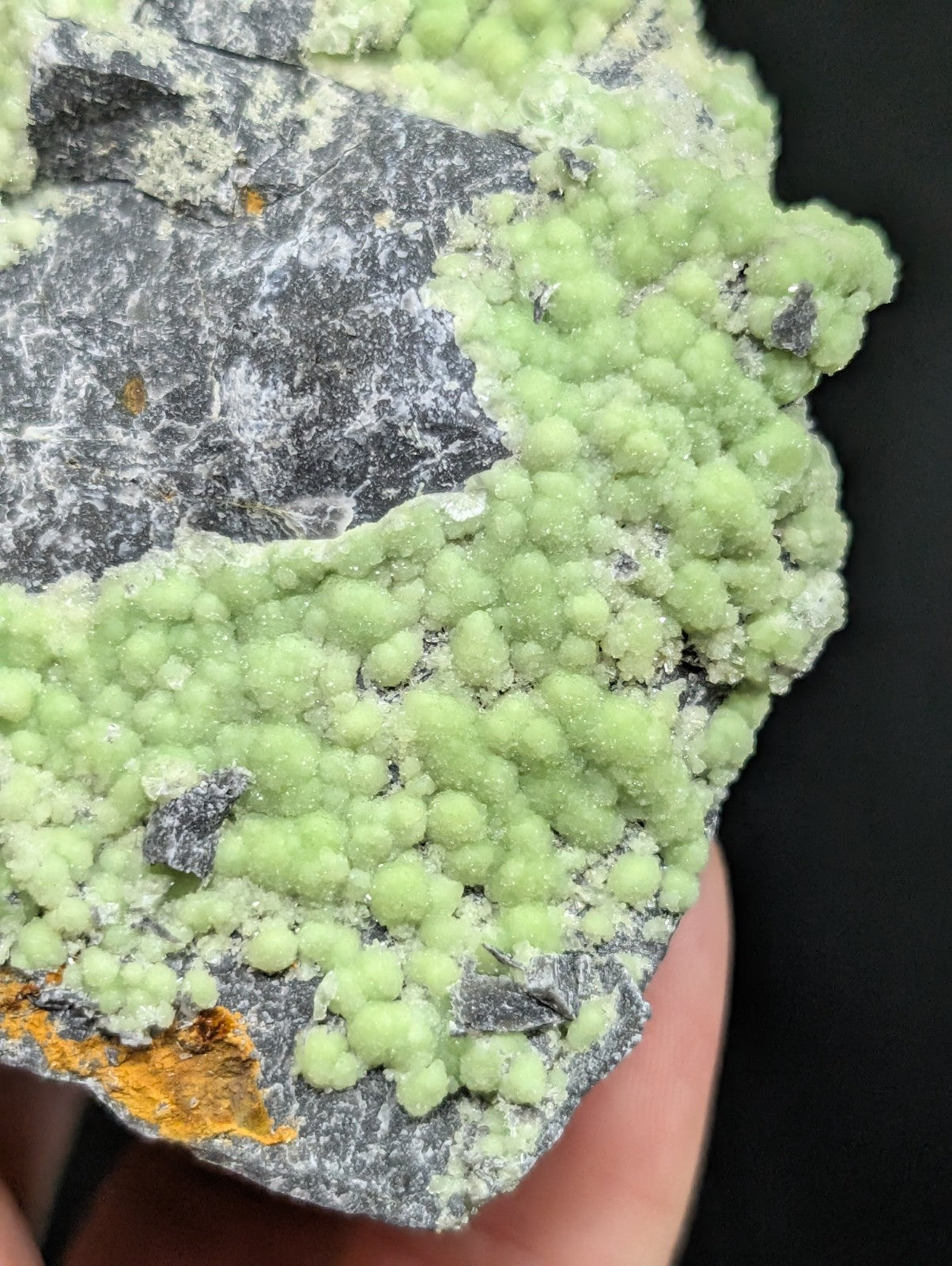 A vibrant green, bumpy mineral formation with a rough, dark gray rock base.