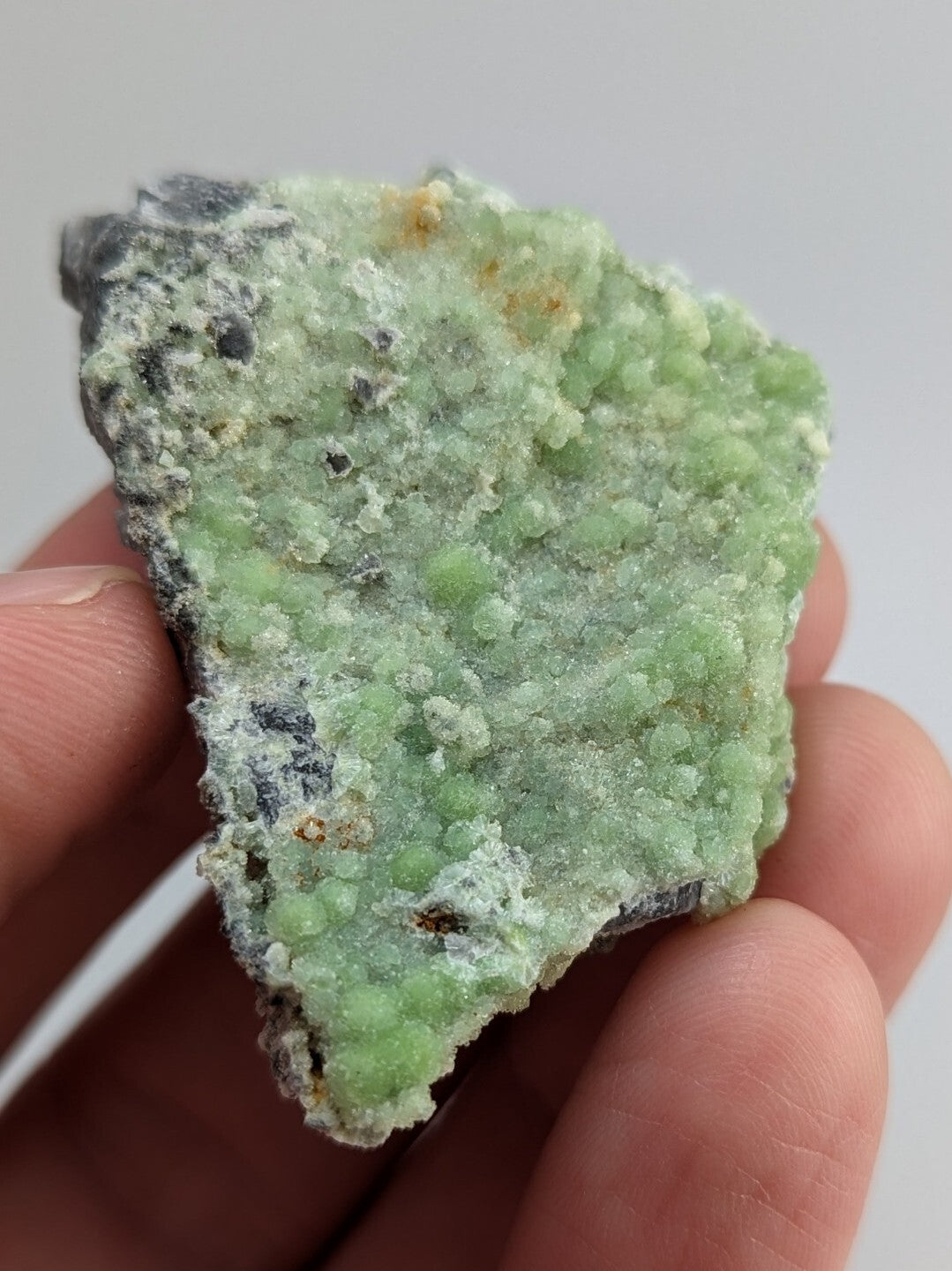 A hand holds a rough, light green mineral specimen with small rounded crystals and dark gray matrix.