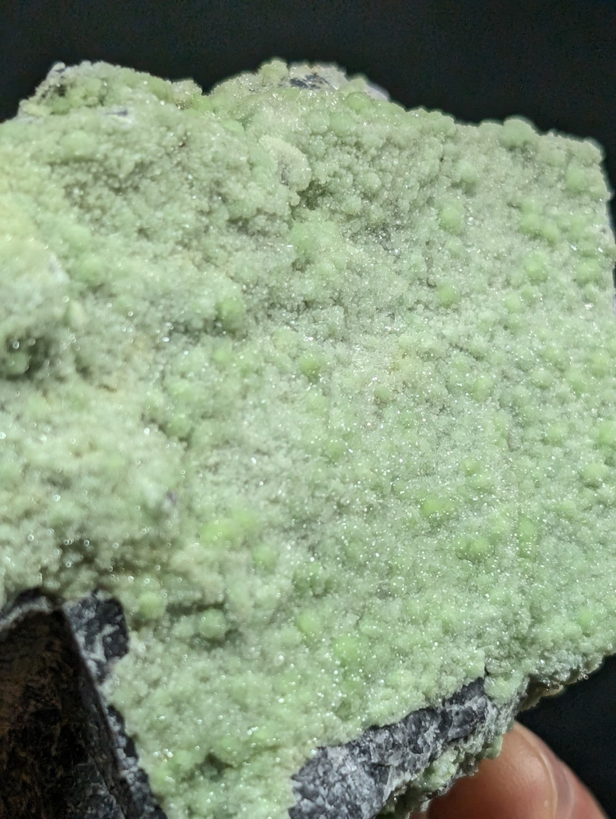 A textured, light green mineral specimen with a crystalline surface and subtle sparkle.