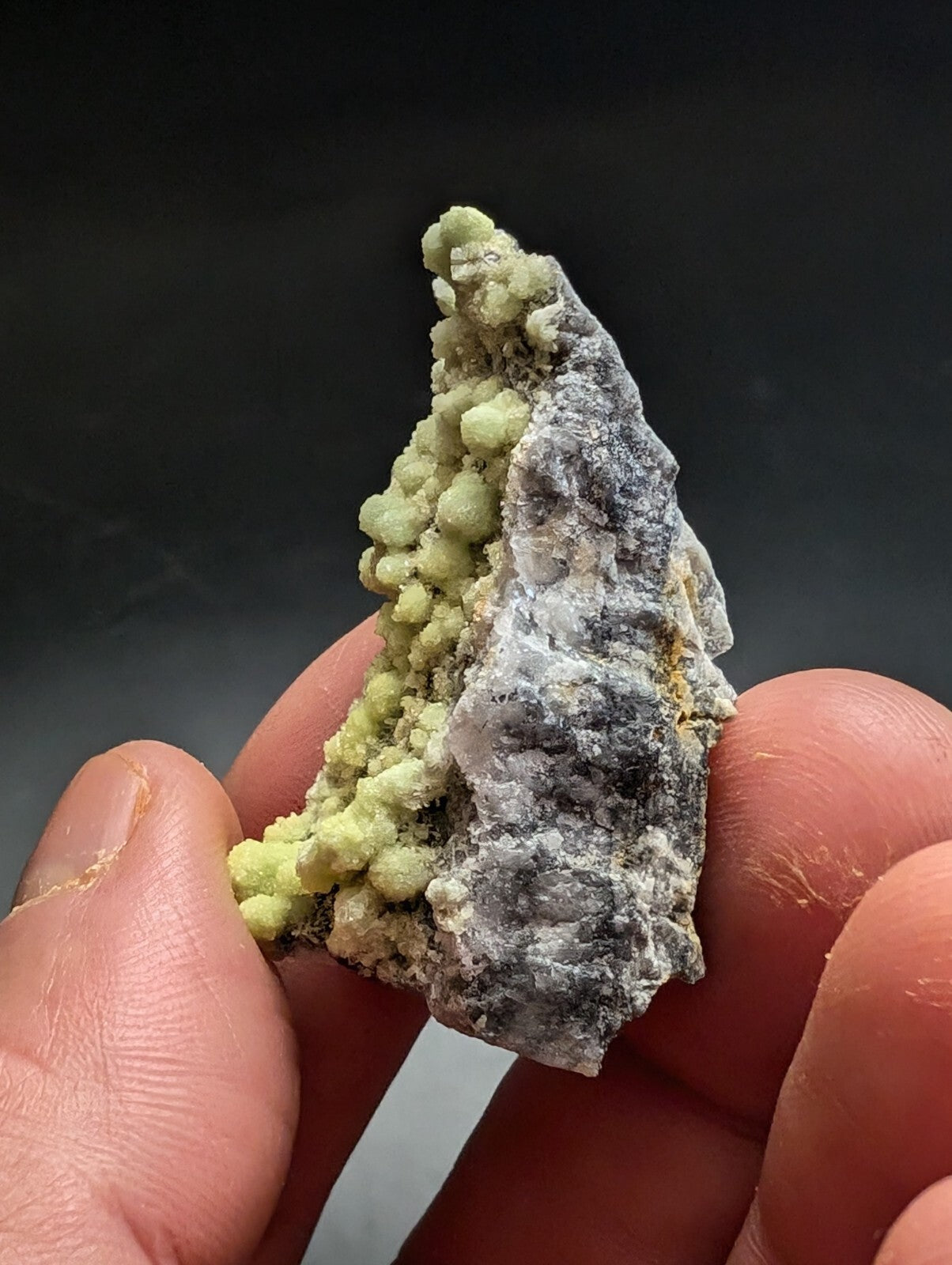 A hand holds a mineral specimen featuring clusters of pale green, rounded crystals growing from a darker gray and white matrix.