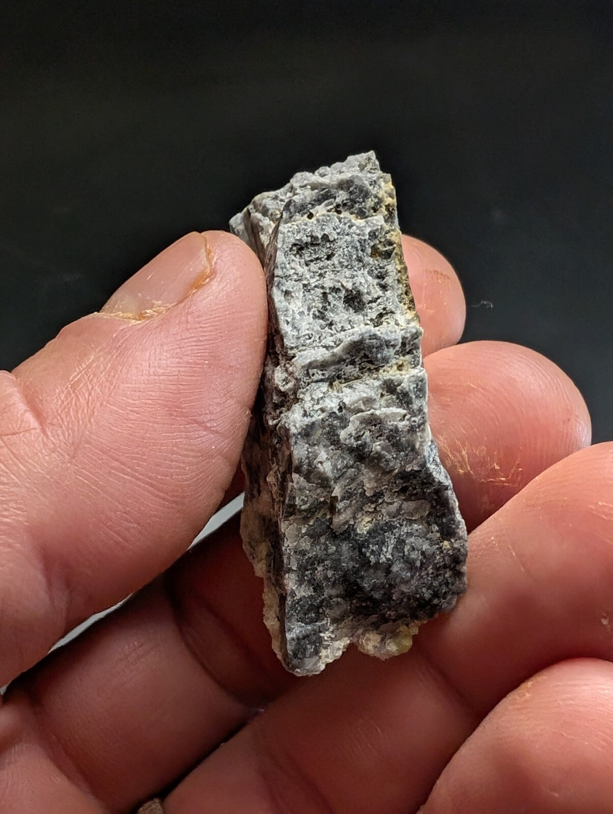 A rough, irregularly shaped gray rock fragment with speckled black and white mineral inclusions.