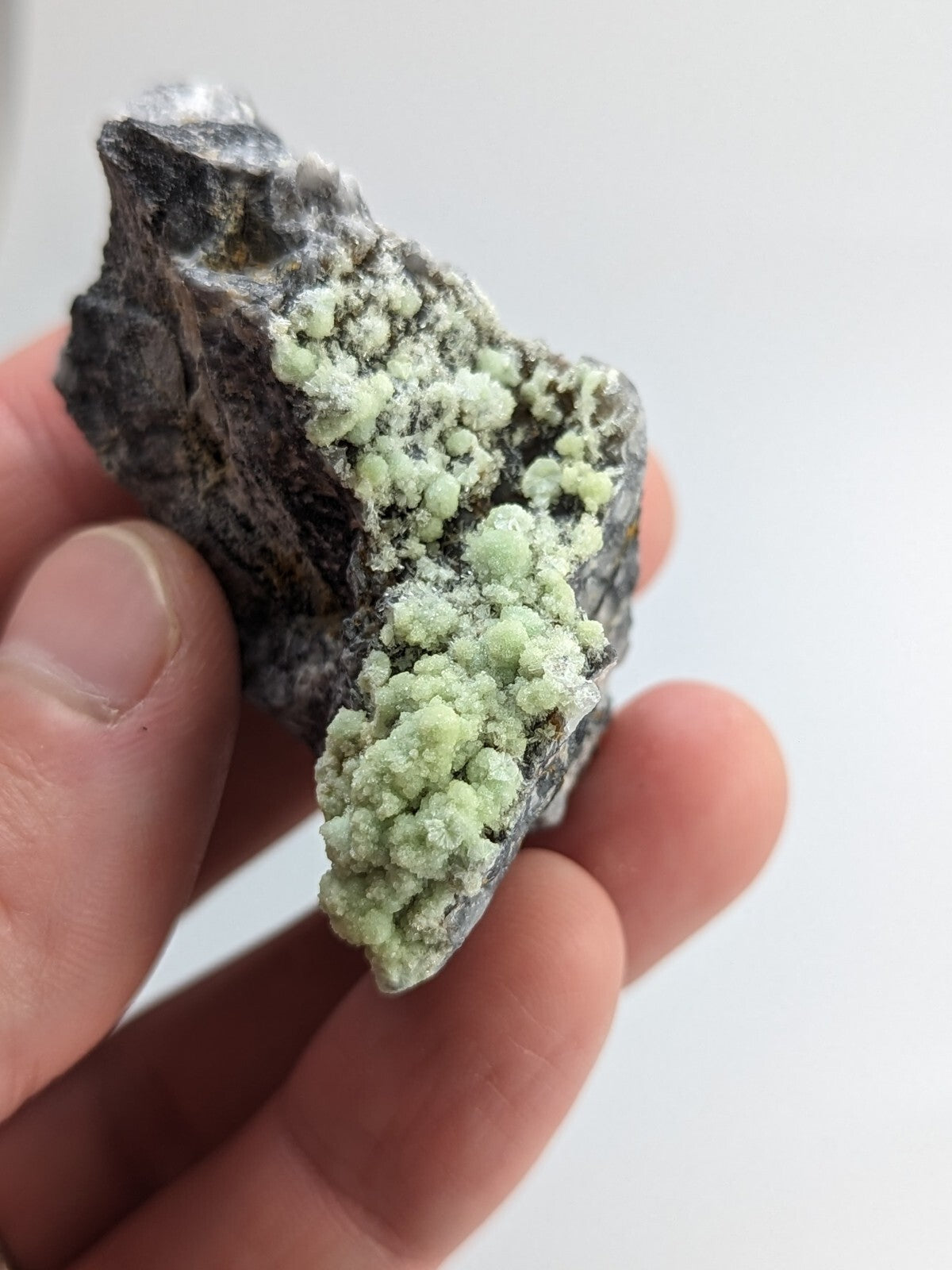 A hand holds a dark gray rock specimen featuring clusters of light green, crystalline mineral formations.