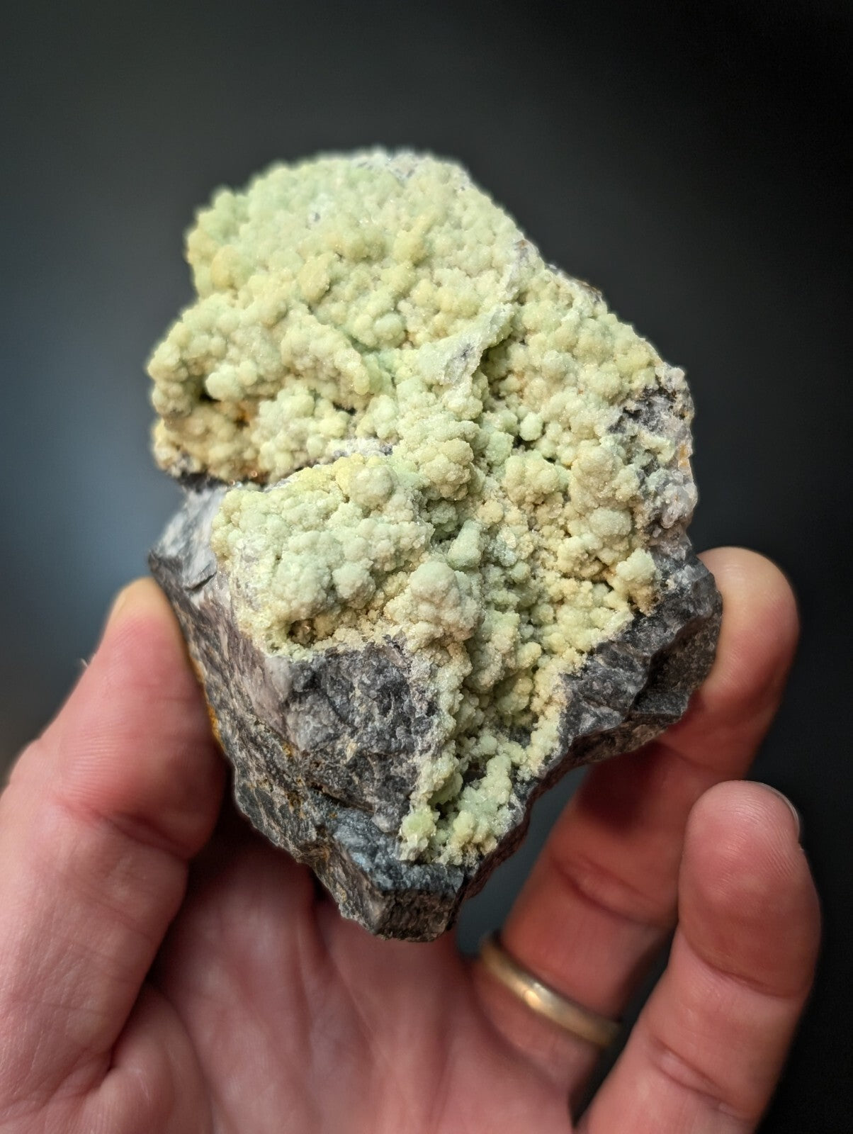 A hand holds a rough, dark gray rock specimen featuring prominent pale greenish-yellow mineral formations with rounded, clustered textures.