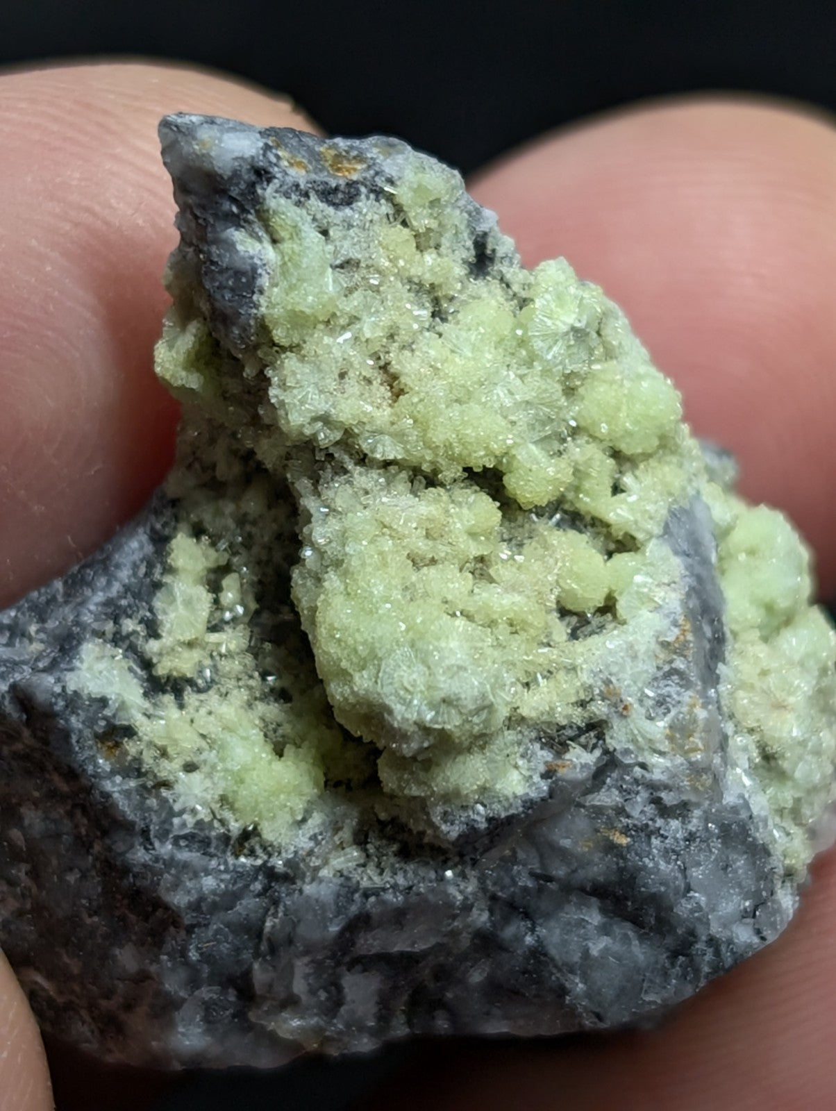 A cluster of pale green, crystalline minerals growing on a dark gray rock matrix.