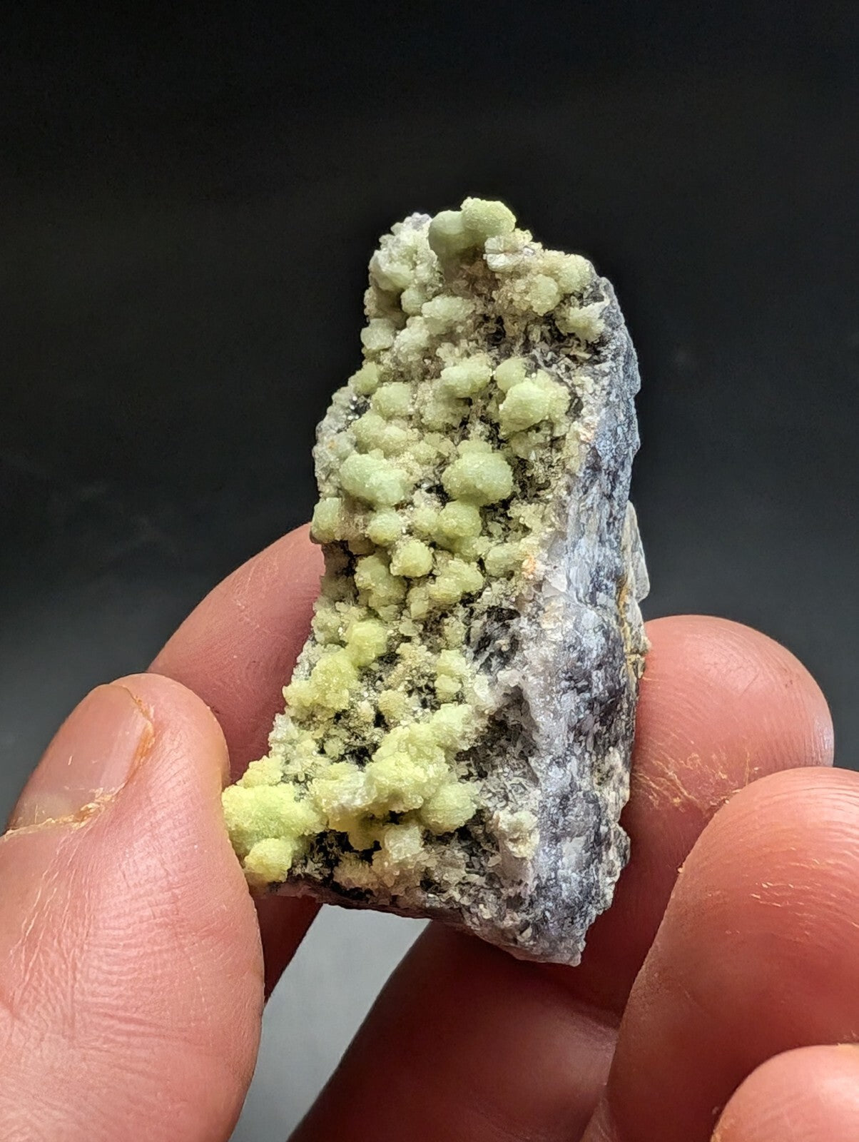 A hand holds a geological specimen featuring clusters of pale green, rounded crystals growing from a darker gray rock matrix.