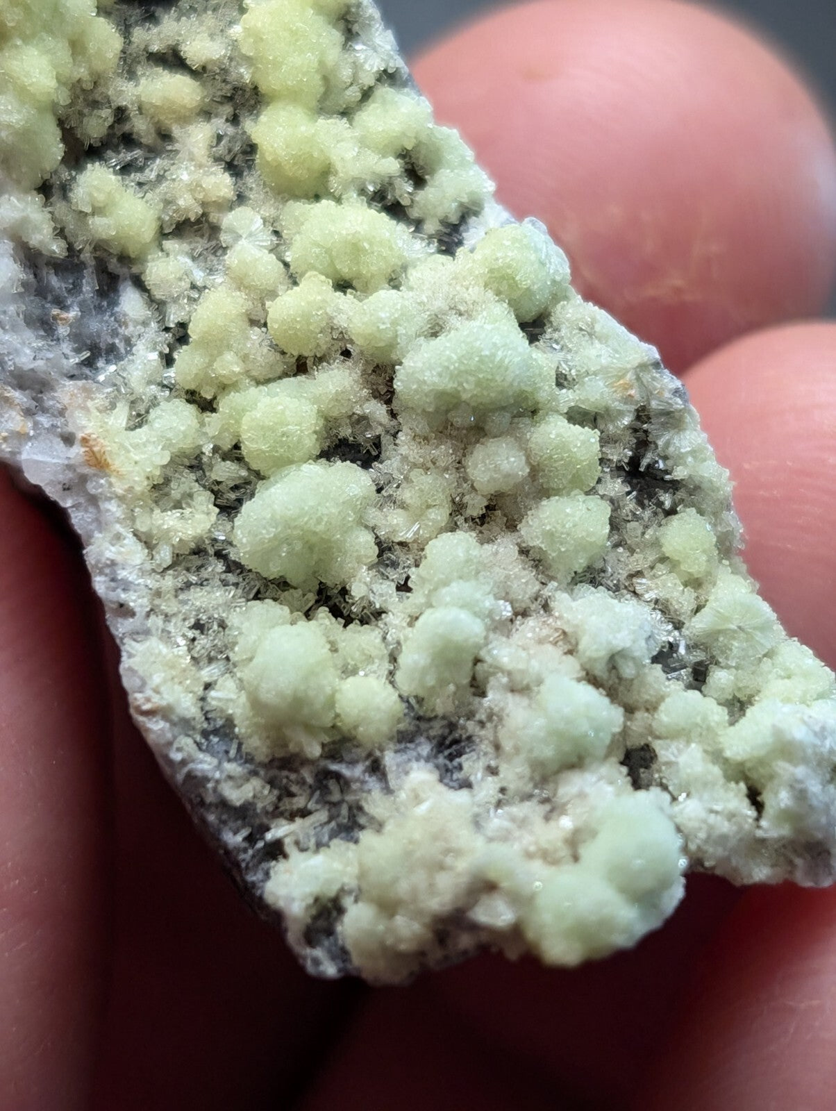 A pale green, crystalline mineral specimen with rounded, clustered formations growing from a darker, rough-textured base.