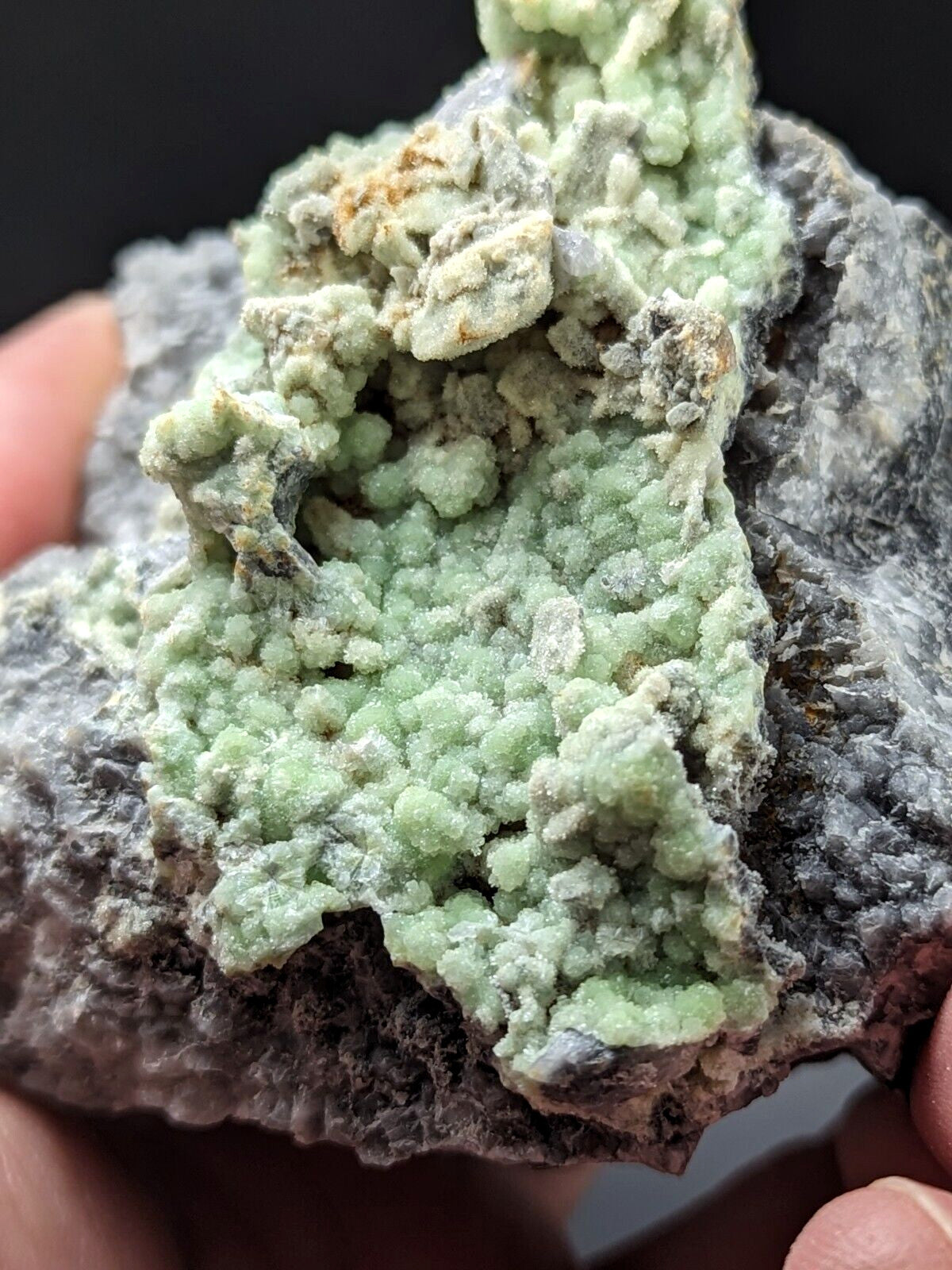 A vibrant green, crystalline mineral formation with a textured, bumpy surface growing from a dark gray rock matrix.