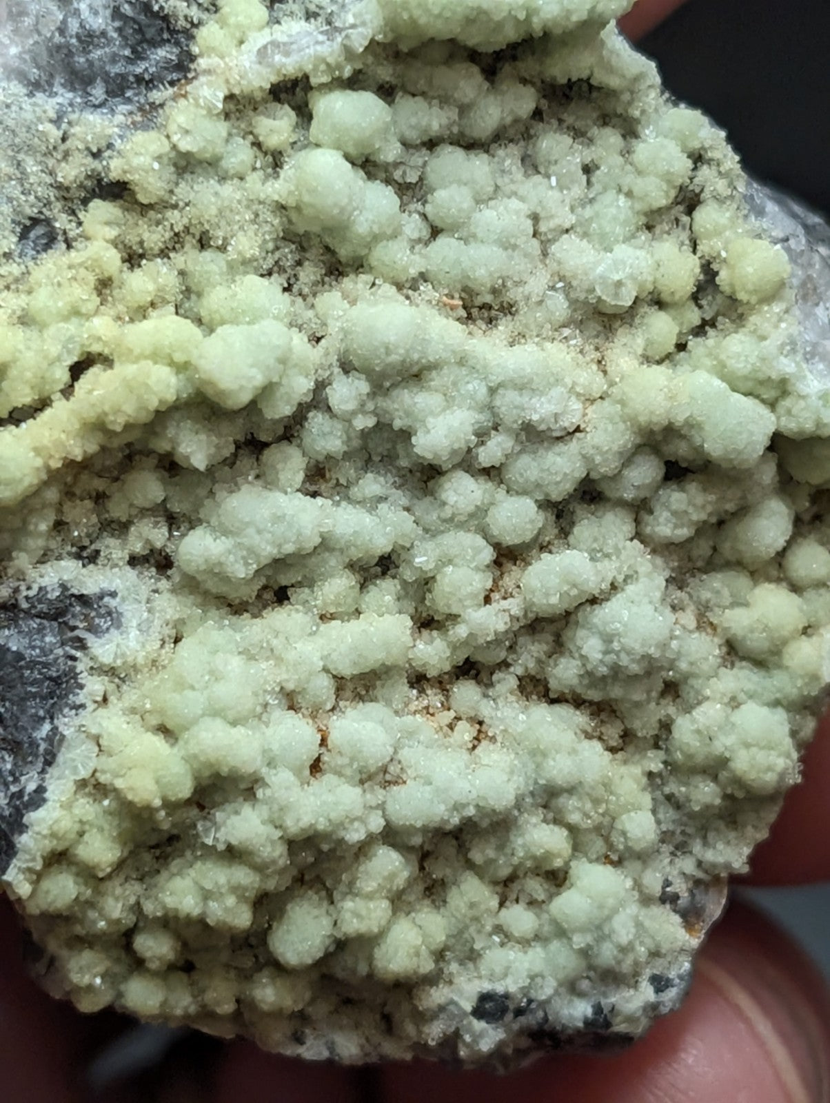 A cluster of pale green, crystalline mineral formations growing densely across a dark gray rock surface.