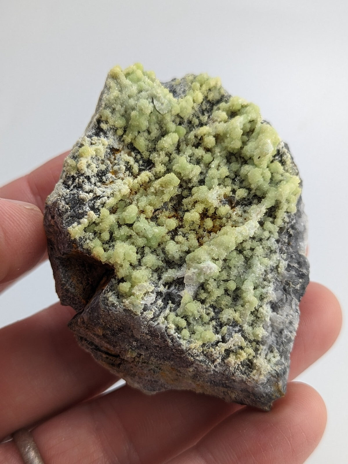 A hand holds a rough, dark gray rock specimen featuring clusters of vibrant pale green mineral crystals.