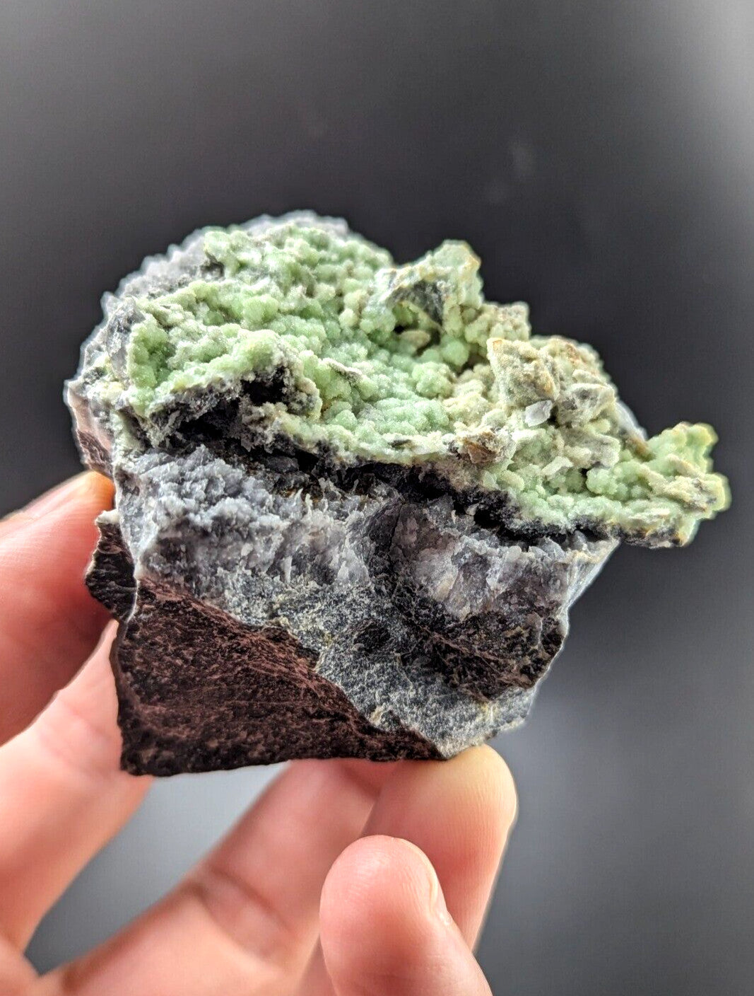 A hand holds a striking mineral specimen featuring vibrant green, textured crystals growing atop a dark gray and brown rock base.