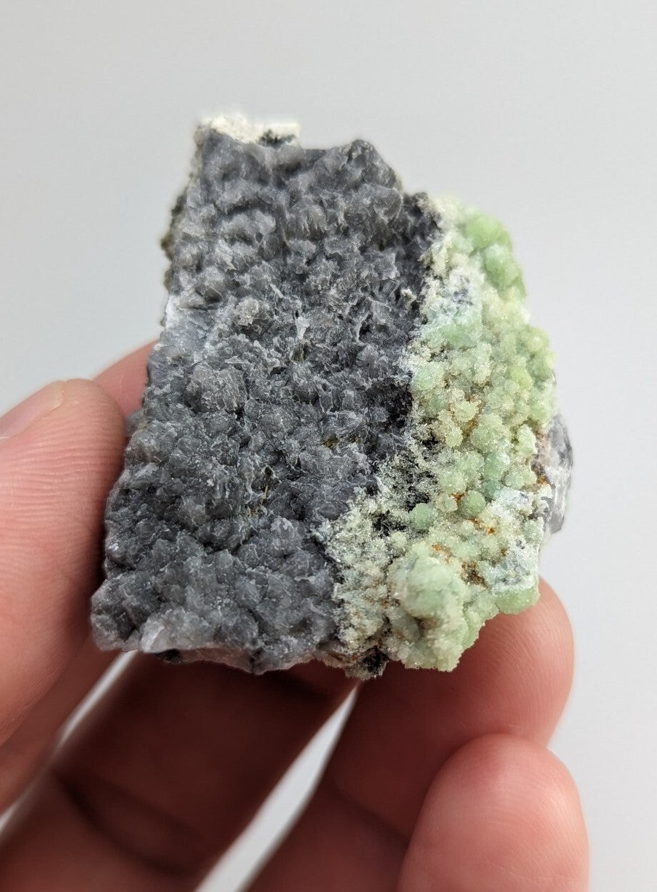 A hand holds a natural mineral specimen featuring a textured gray matrix with vibrant light green crystalline formations.