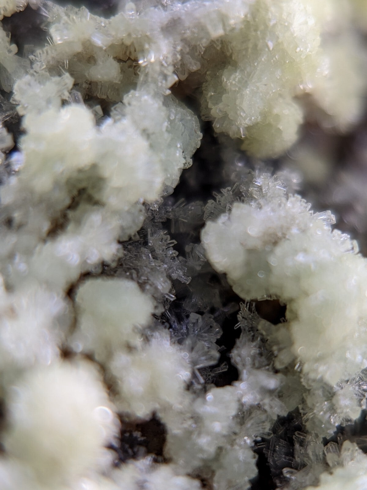 A cluster of translucent, crystalline formations with a pale, off-white hue and delicate, branching structures.