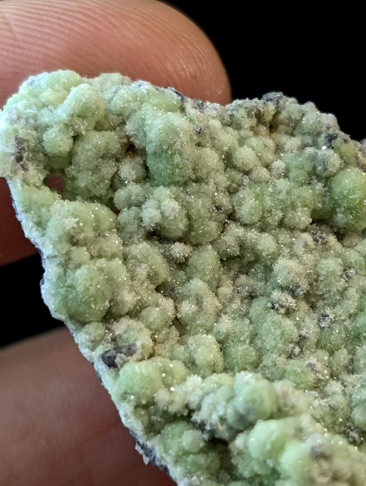 A pale green, crystalline mineral specimen with a textured surface of rounded, bead-like formations.