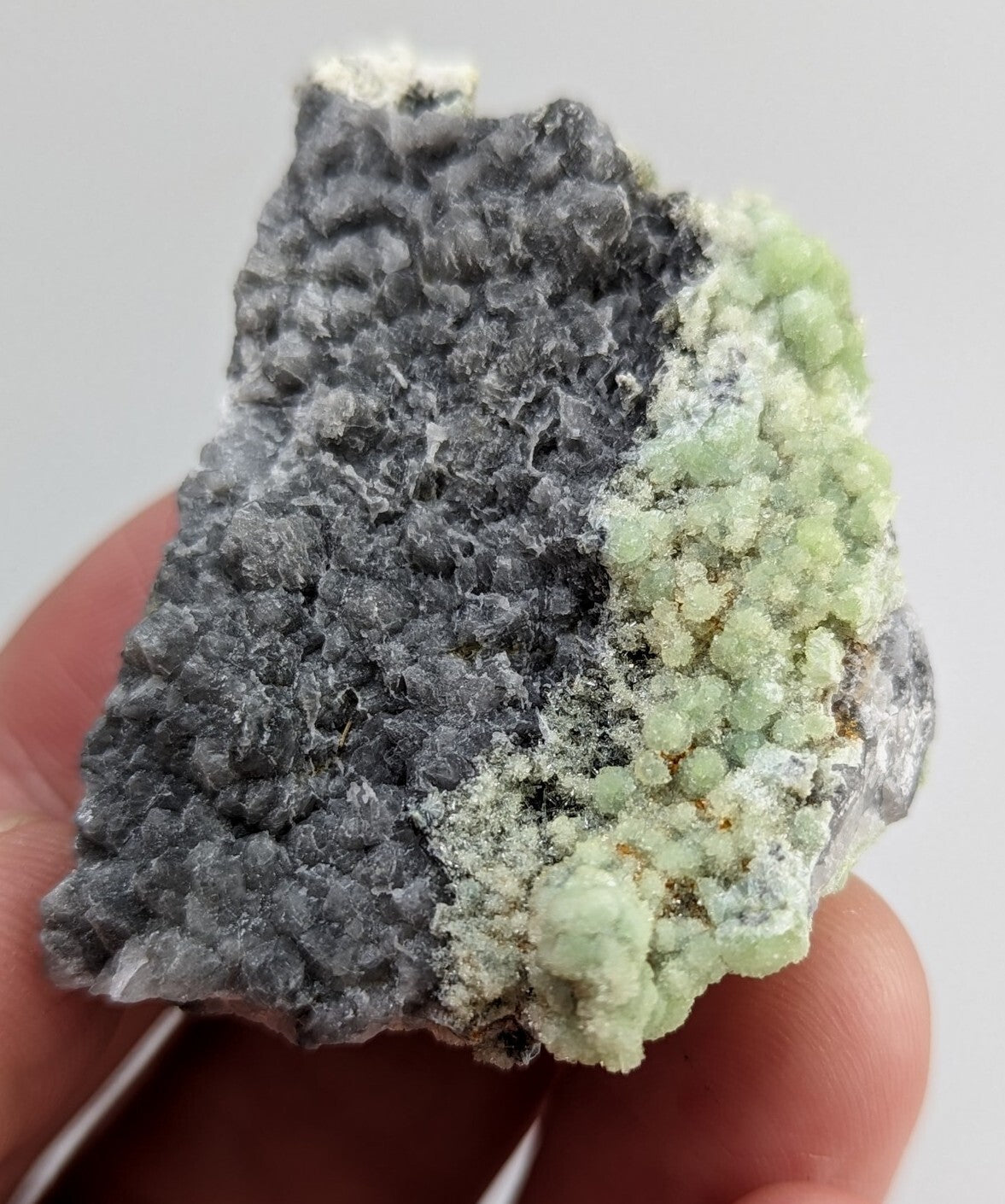 A hand holds a mineral specimen featuring a dark gray, textured matrix with clusters of light green, bead-like crystals growing from its surface.