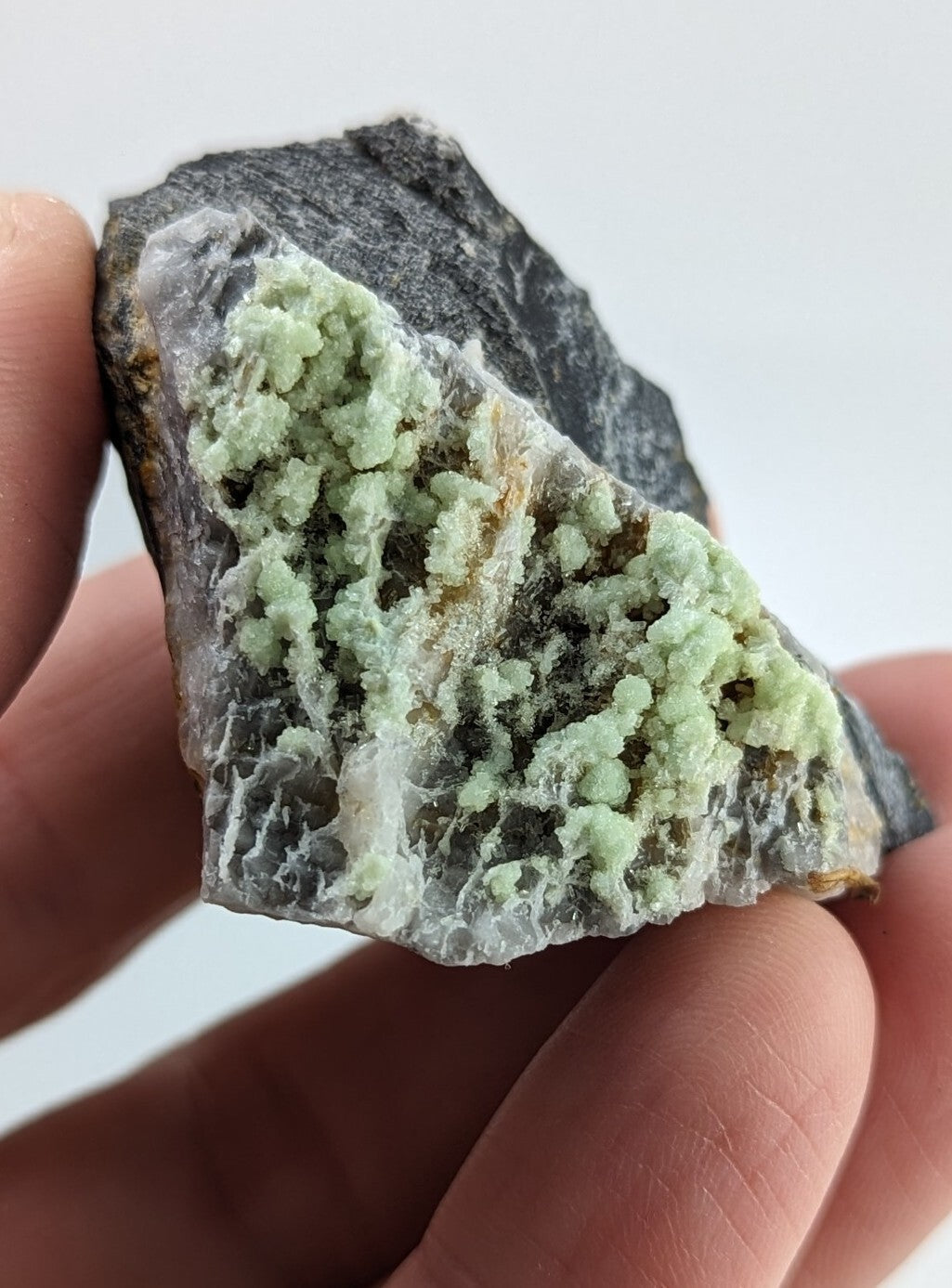 A hand holds a dark gray rock specimen featuring vibrant, light green crystalline formations with a rough, textured surface.