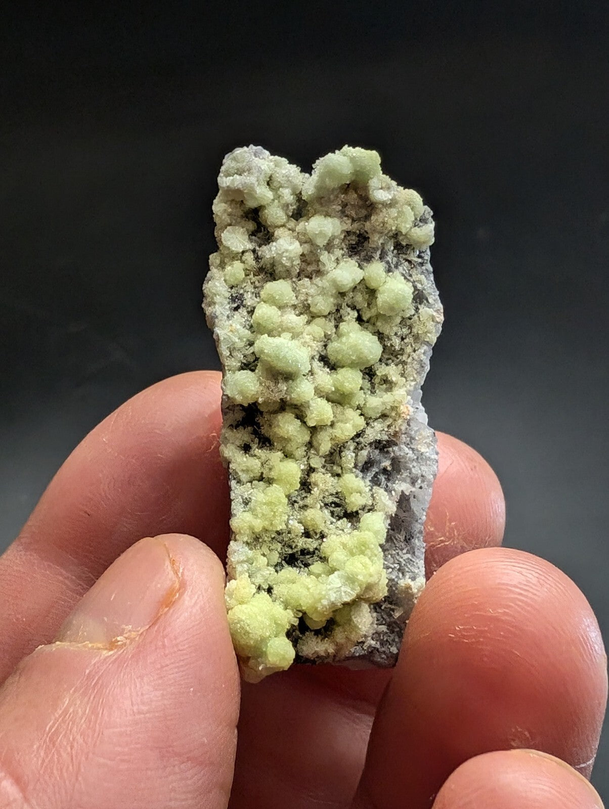 A hand holds a mineral specimen featuring clusters of pale green, rounded crystals growing on a darker gray rock matrix.