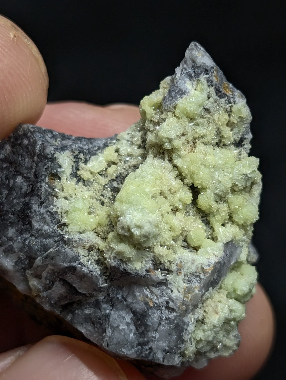A hand holds a dark gray rock specimen featuring clusters of pale green, crystalline mineral formations.