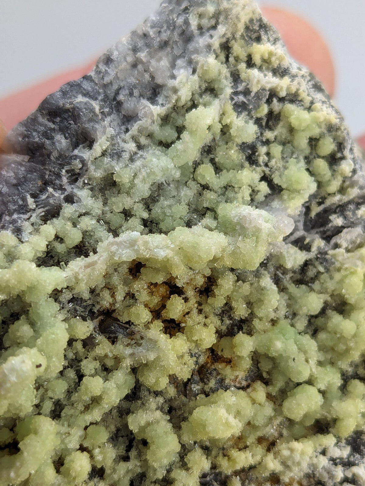 A rough, dark gray rock specimen featuring clusters of translucent, pale green crystalline formations.