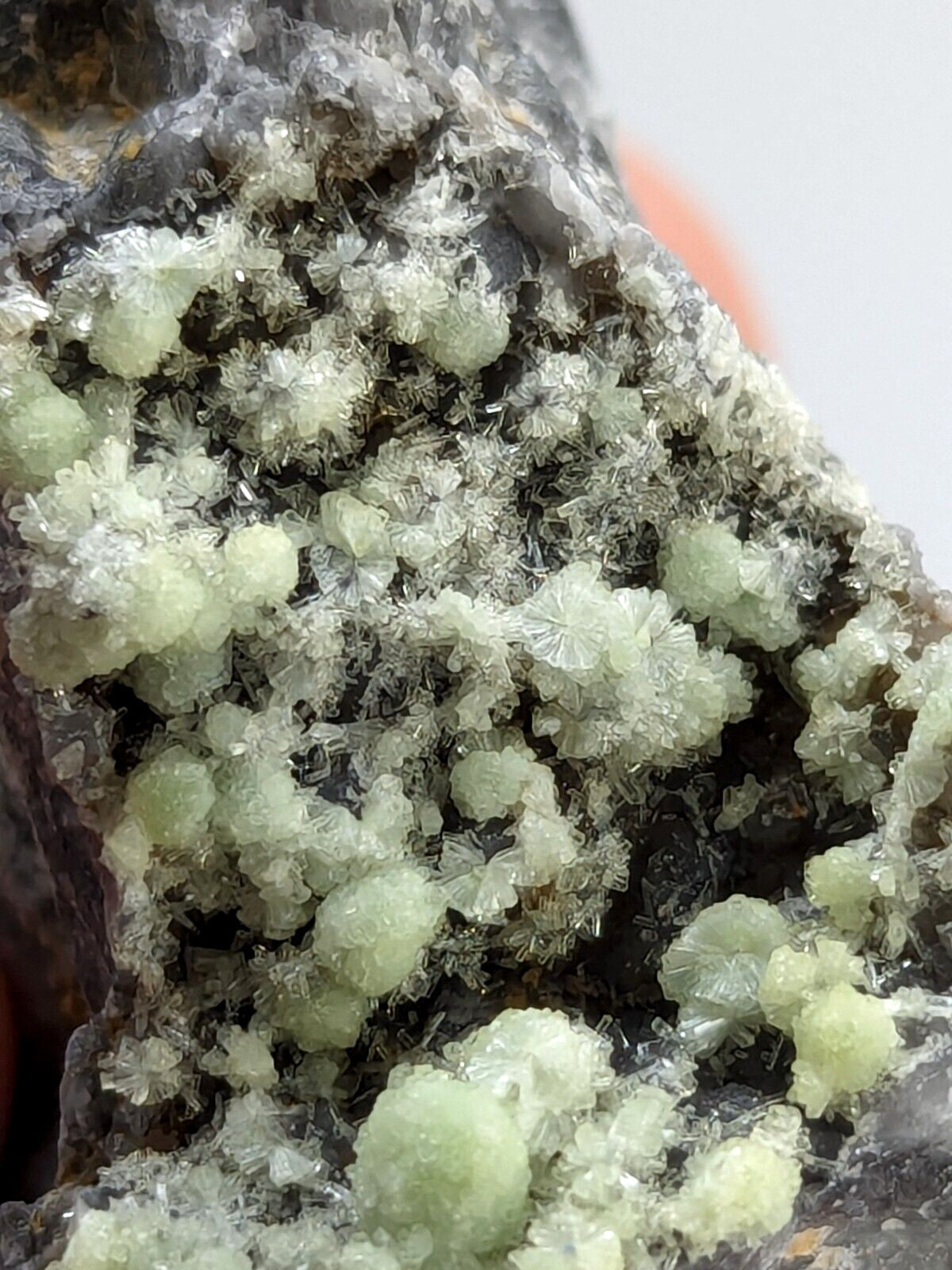 A cluster of translucent, pale green crystalline formations with delicate, feathery textures growing from a dark rock matrix.