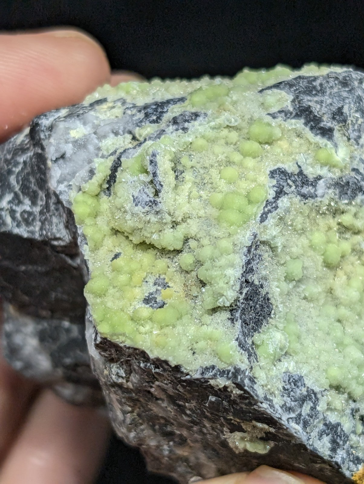 A hand holds a dark gray rock specimen featuring clusters of vibrant, light green mineral crystals.