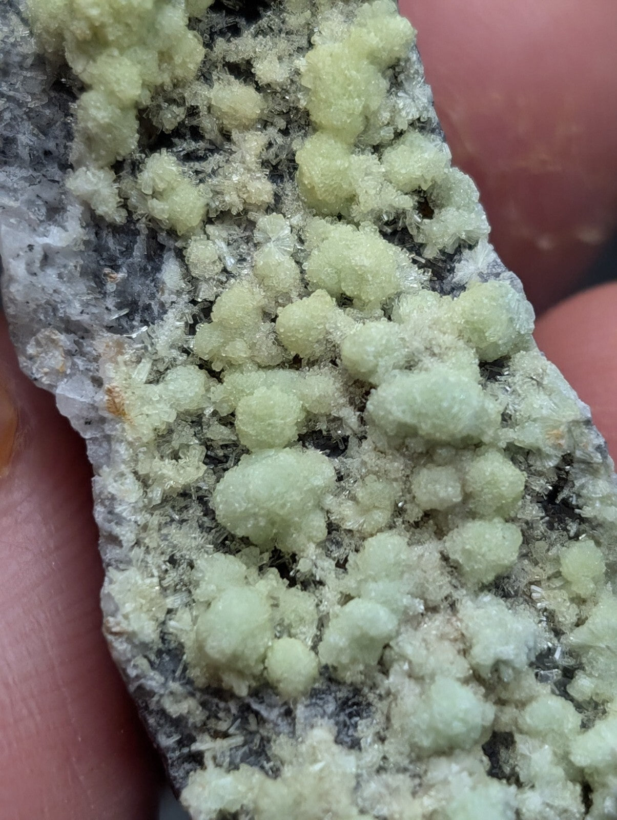 A cluster of pale green, crystalline mineral formations growing on a dark gray rock matrix.