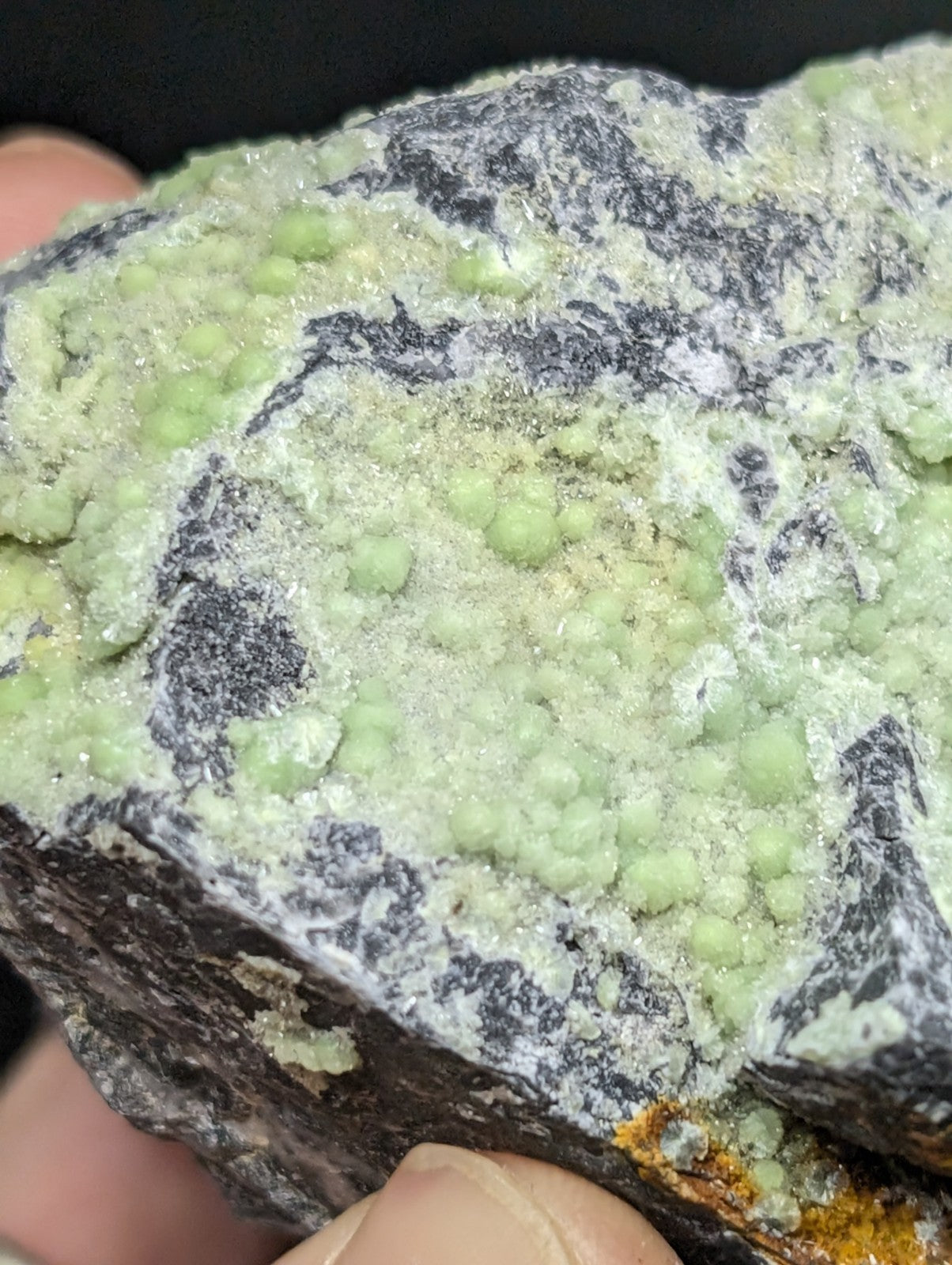 A rough, dark gray rock specimen featuring clusters of light green, bead-like crystals growing over a textured surface.