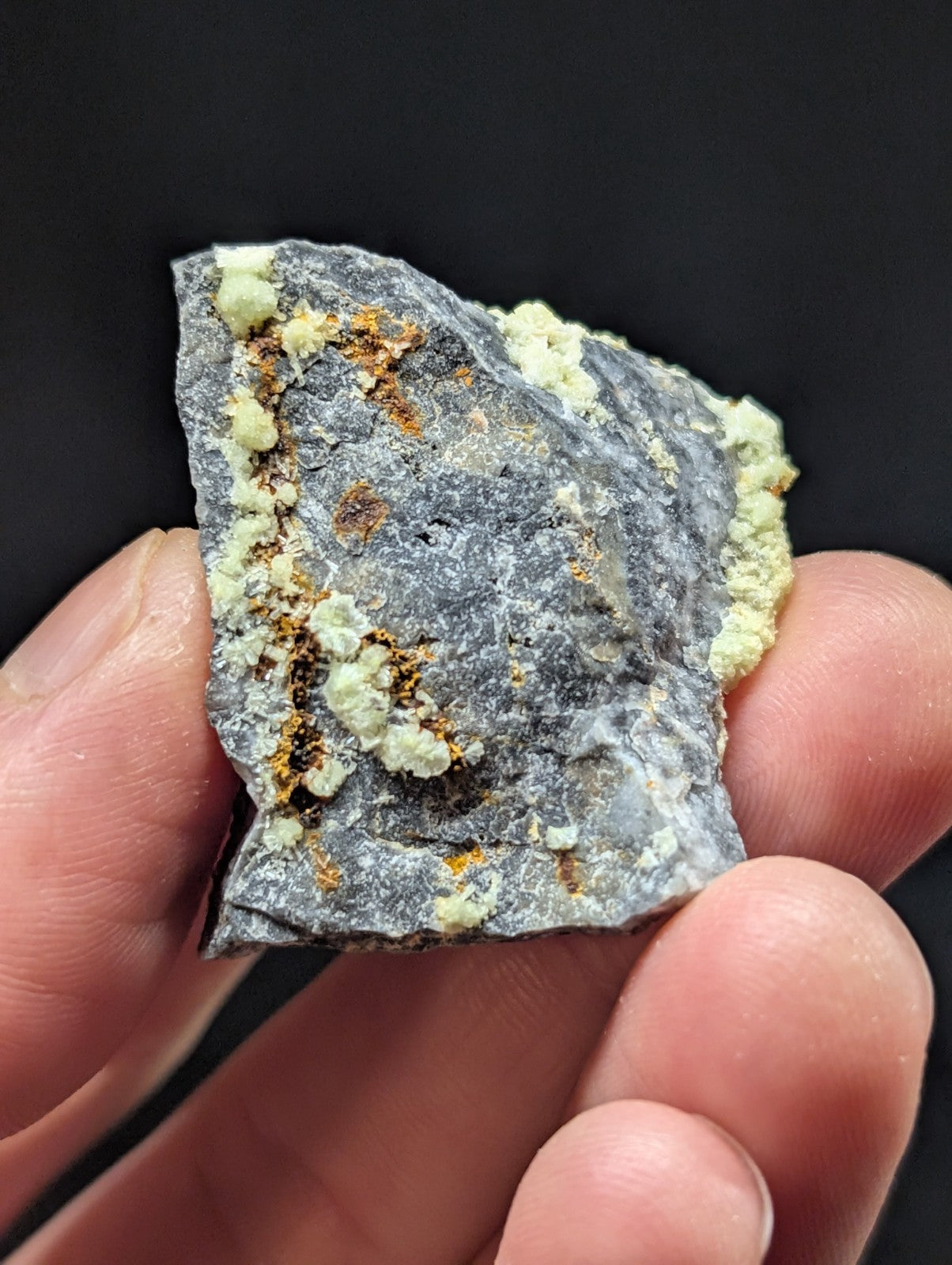 A hand holds a rough, gray rock specimen featuring patches of pale yellow and orange mineral deposits.
