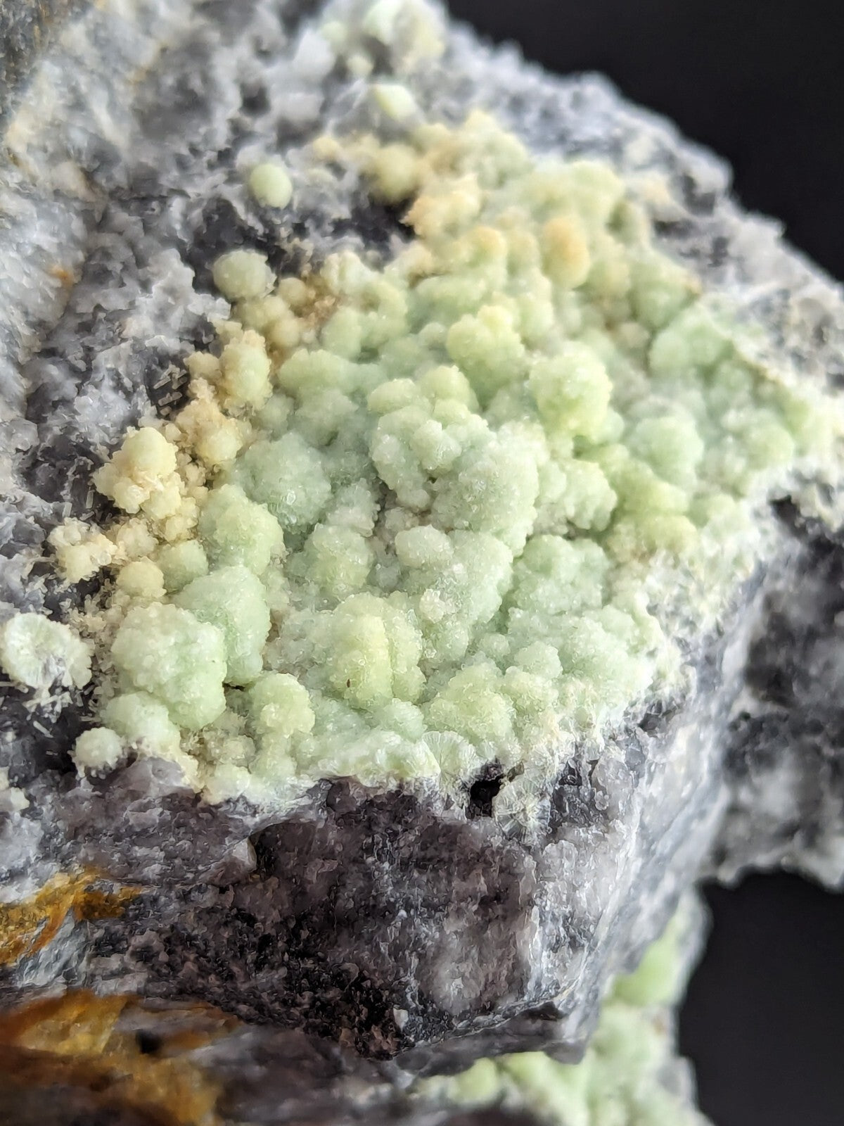 A cluster of pale green, bulbous crystals growing on a dark gray rock matrix.