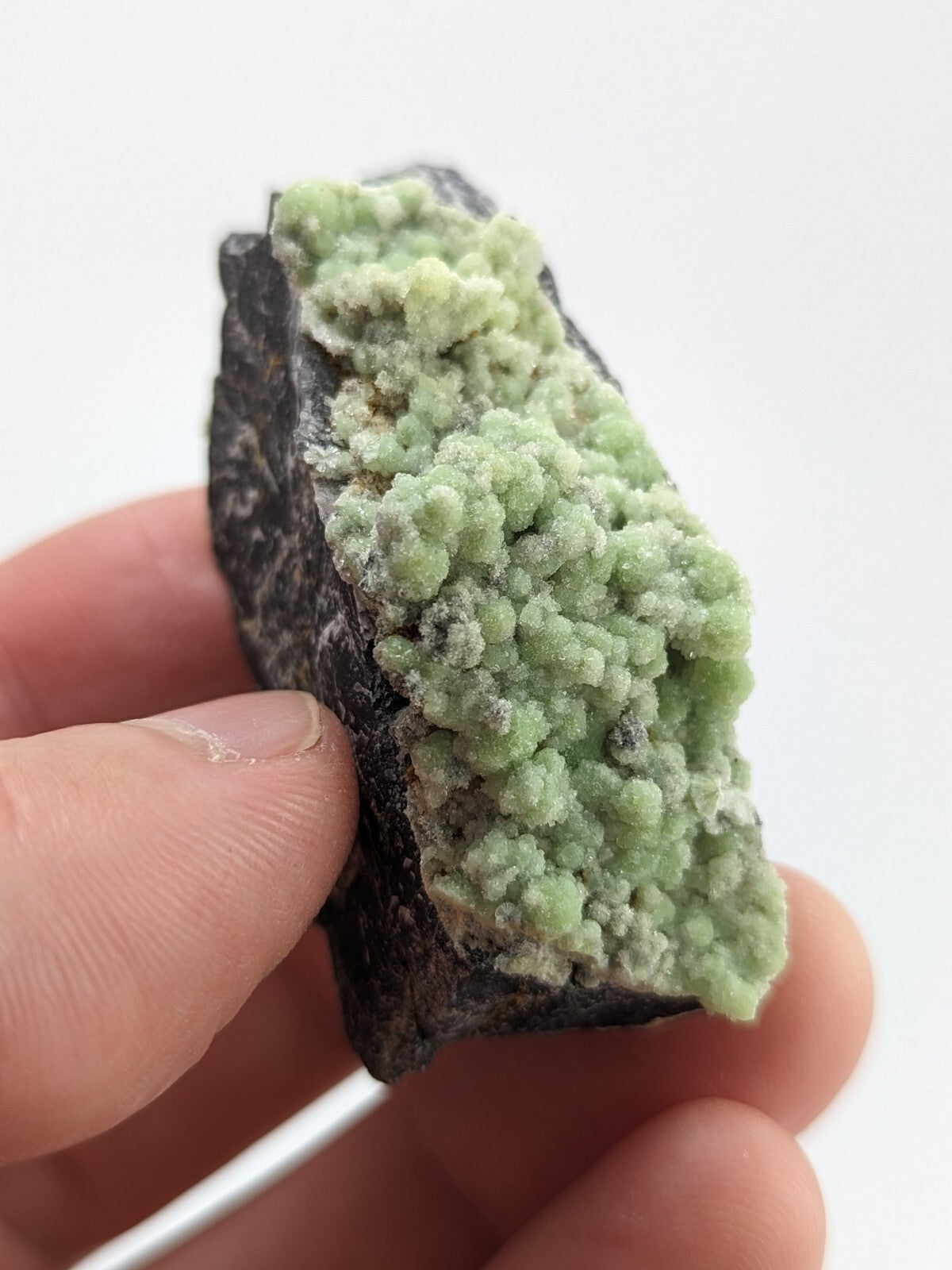 A hand holds a dark, rough-textured rock specimen featuring vibrant light green crystalline formations.