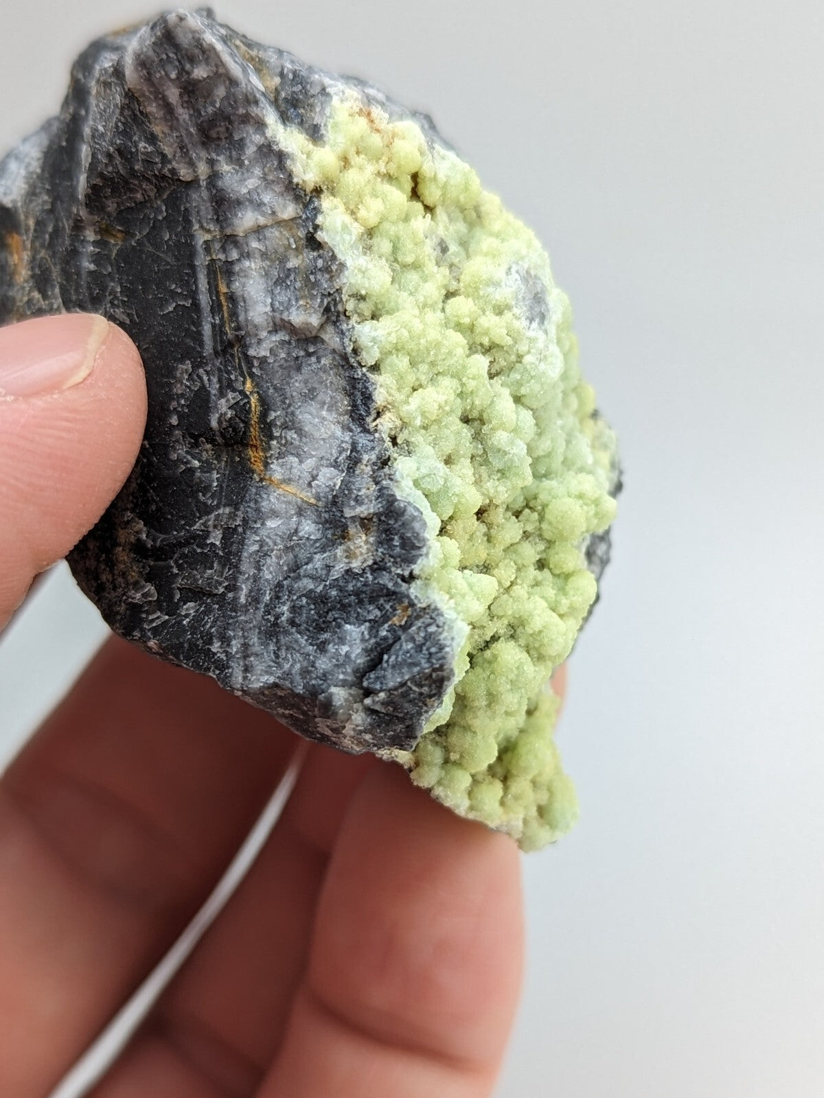 A hand holds a dark, rough-textured rock specimen featuring vibrant light green crystalline formations.