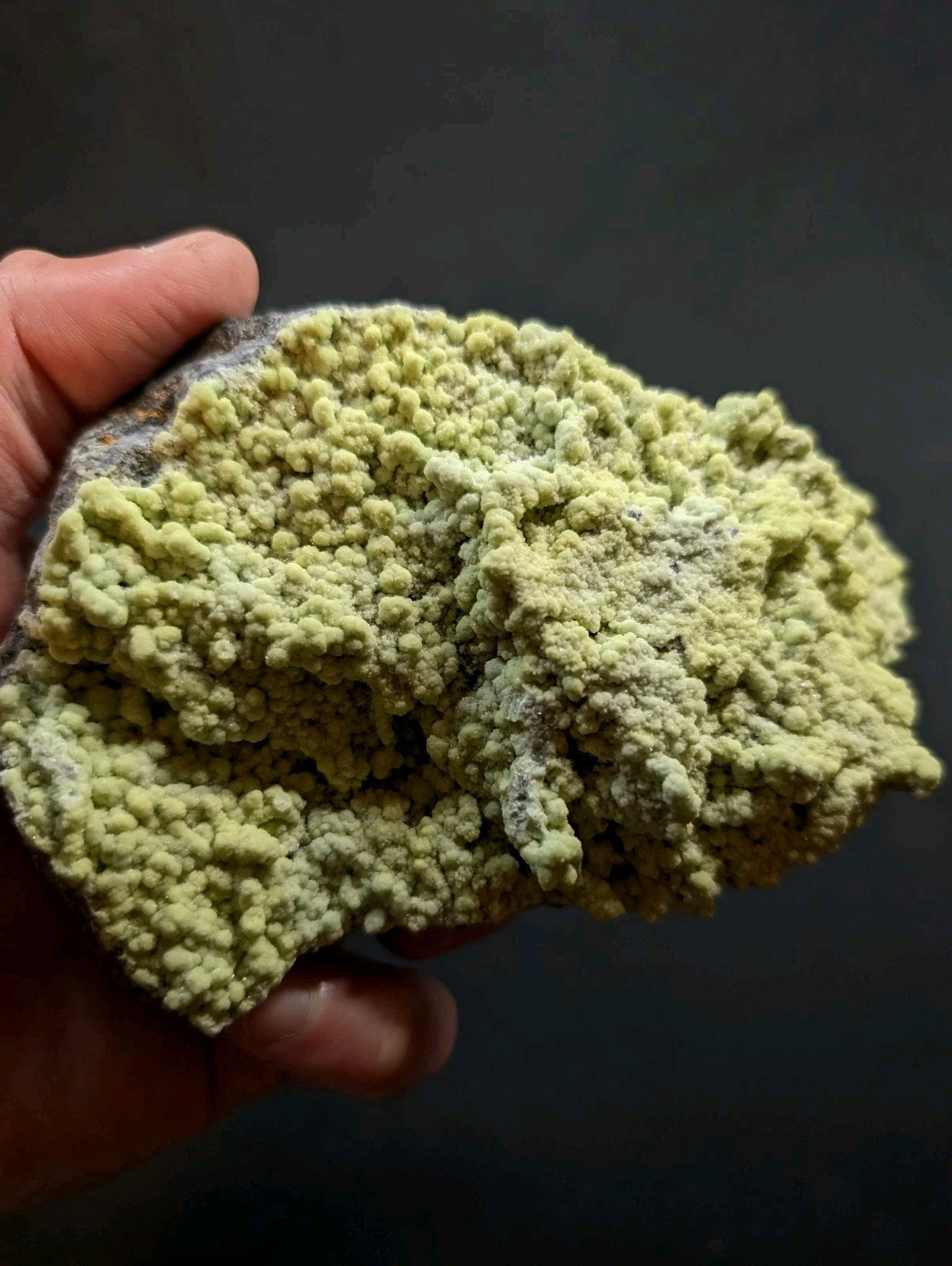 A hand holds a rough, irregularly shaped mineral specimen with a textured surface of pale greenish-yellow nodules and patches of gray rock.