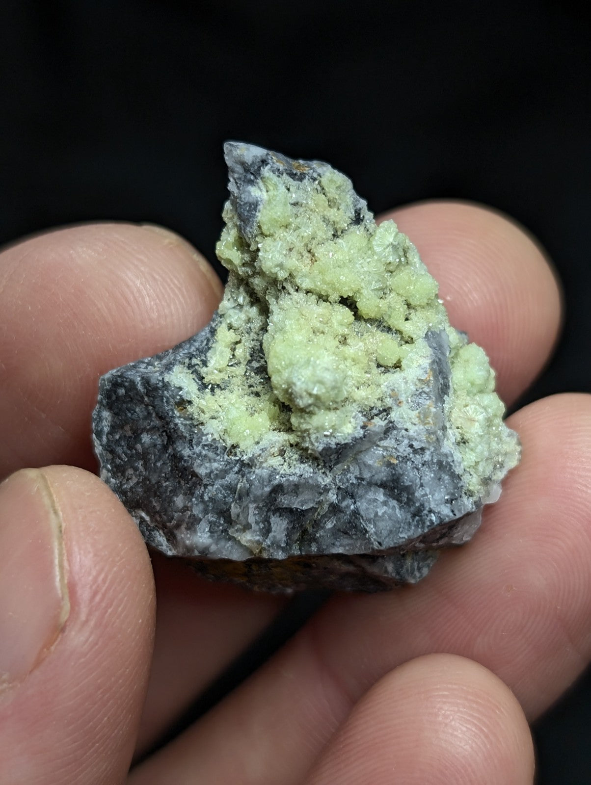A hand holds a dark gray rock specimen featuring prominent light green, crystalline formations.