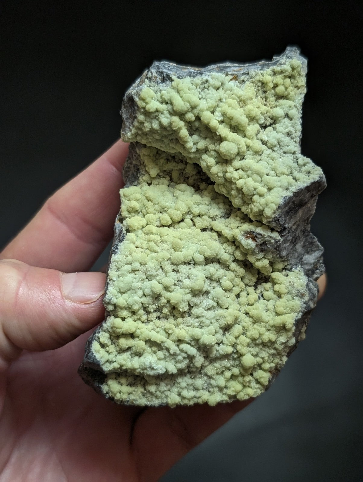 A hand holds a rough, irregularly shaped rock specimen featuring vibrant pale green crystalline formations growing over a darker gray matrix.