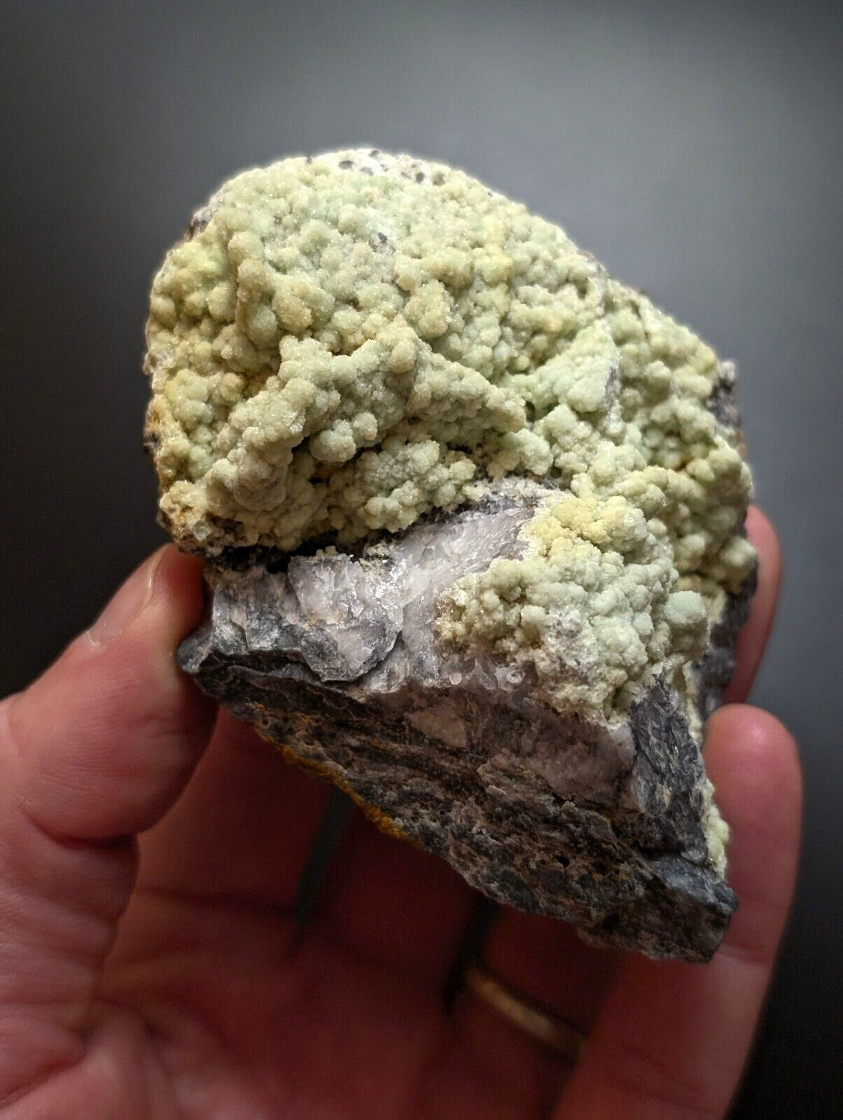 A hand holds a geological specimen featuring a dense cluster of pale green, rounded mineral crystals growing over a dark gray rock base.