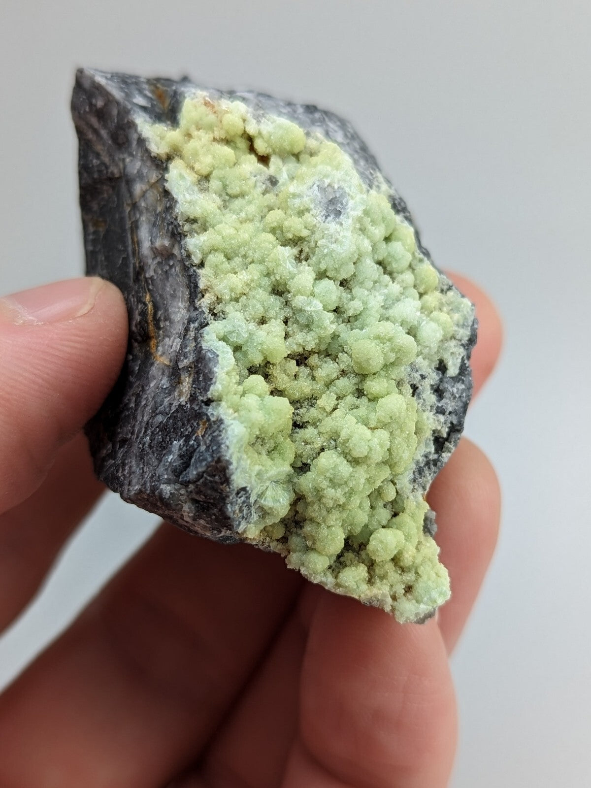A hand holds a dark, rough-textured rock specimen featuring vibrant light green crystalline formations.