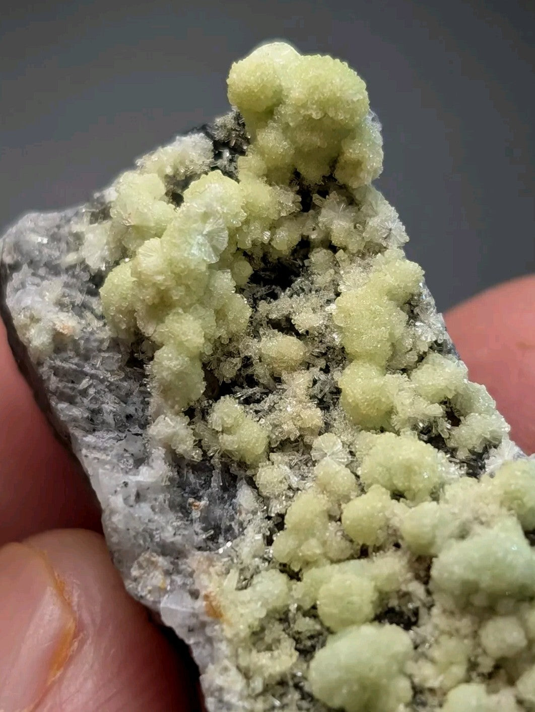 A cluster of pale green, crystalline mineral formations growing atop a dark gray rock matrix.
