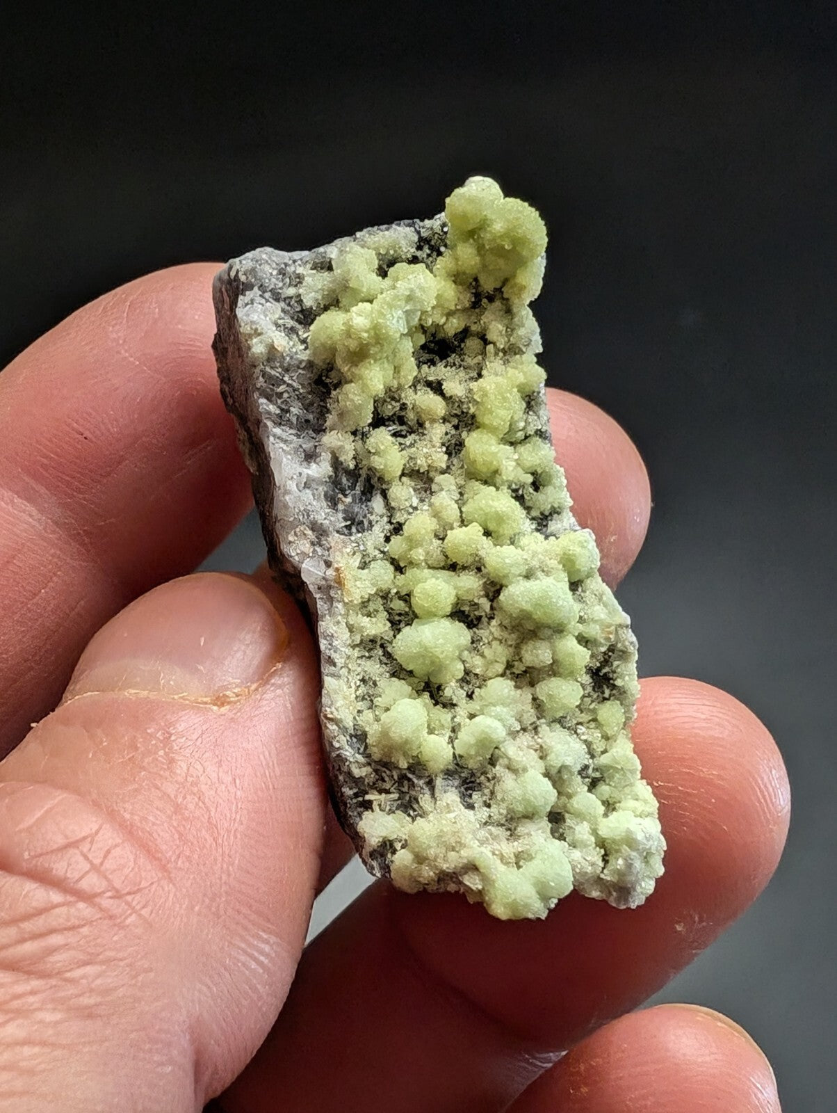 A hand holds a dark gray rock specimen featuring clusters of vibrant, light green mineral crystals.