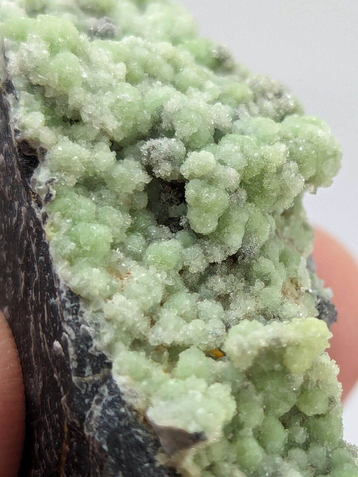 A cluster of pale green, crystalline minerals growing densely on a dark rock matrix.
