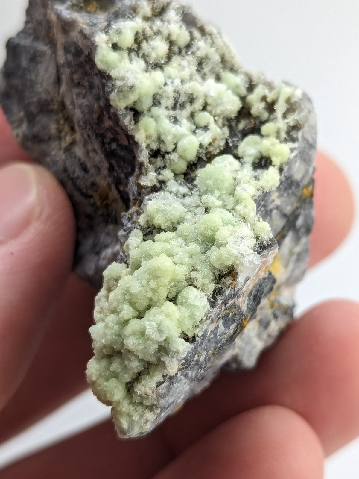 A hand holds a dark gray rock specimen featuring clusters of pale green, crystalline mineral formations.