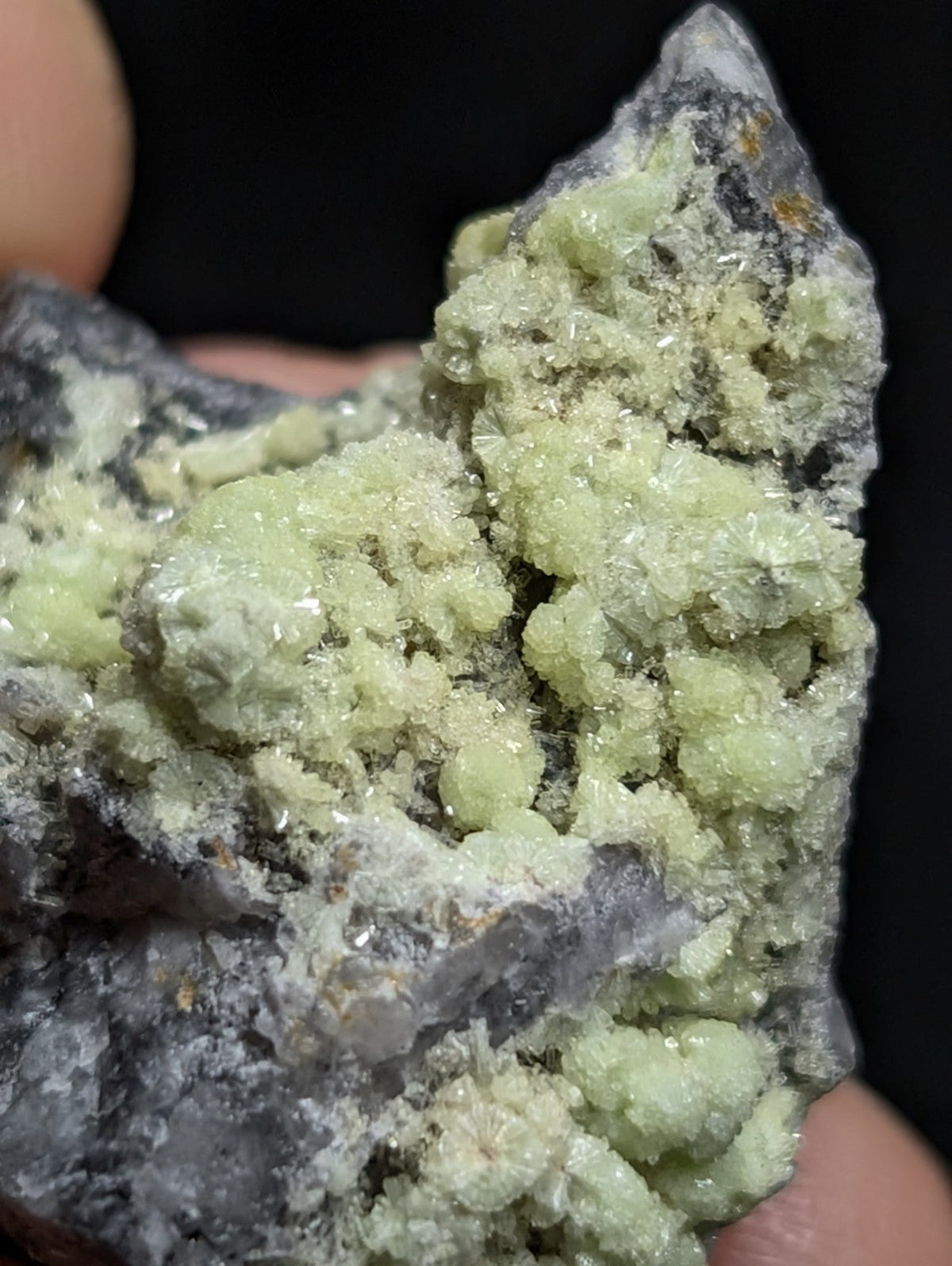 A cluster of translucent, pale green crystals growing from a dark gray rock matrix.