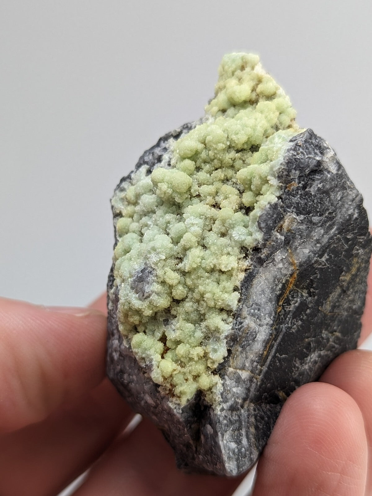 A hand holds a dark gray rock specimen featuring vibrant, light green crystalline formations.