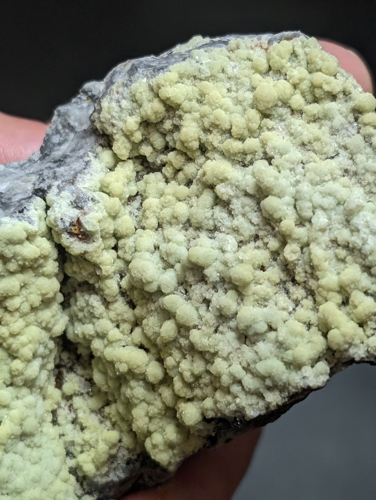 A hand holds a geological specimen featuring dense, pale yellow-green crystalline formations growing over a dark gray rock base.