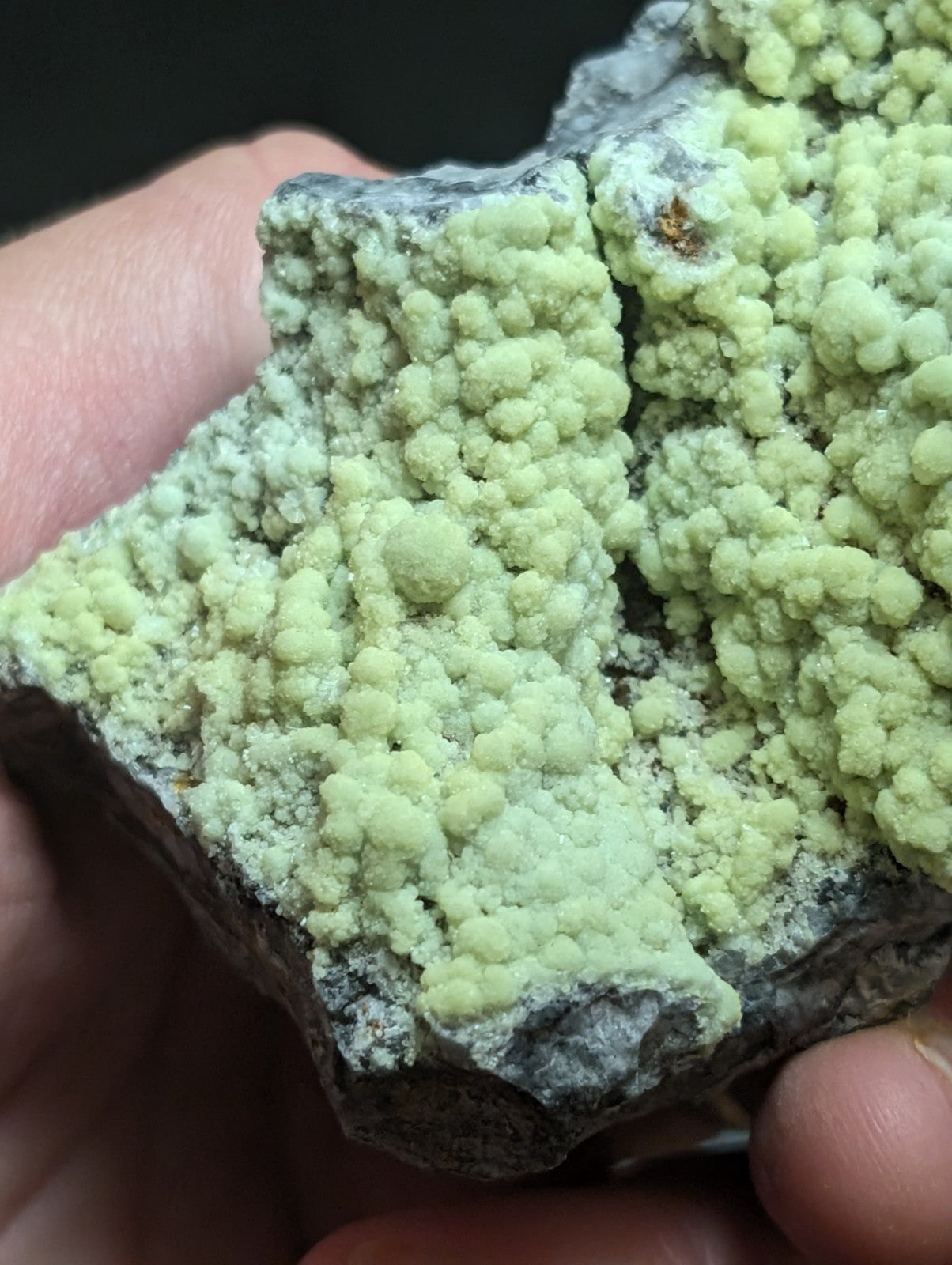 A hand holds a geological specimen featuring vibrant, light green crystalline formations growing densely over a dark gray rock matrix.